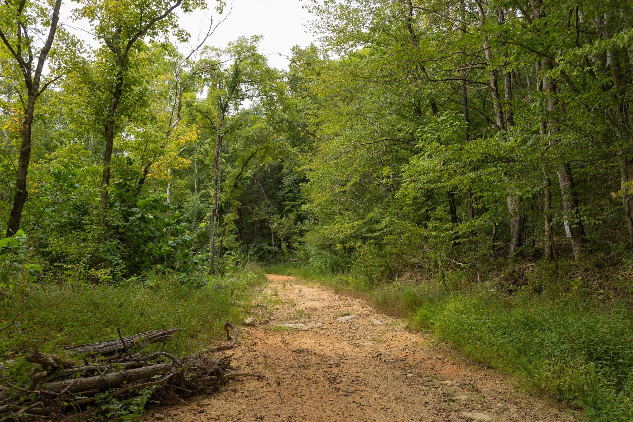 Big White Oak Tract 144 photo 17