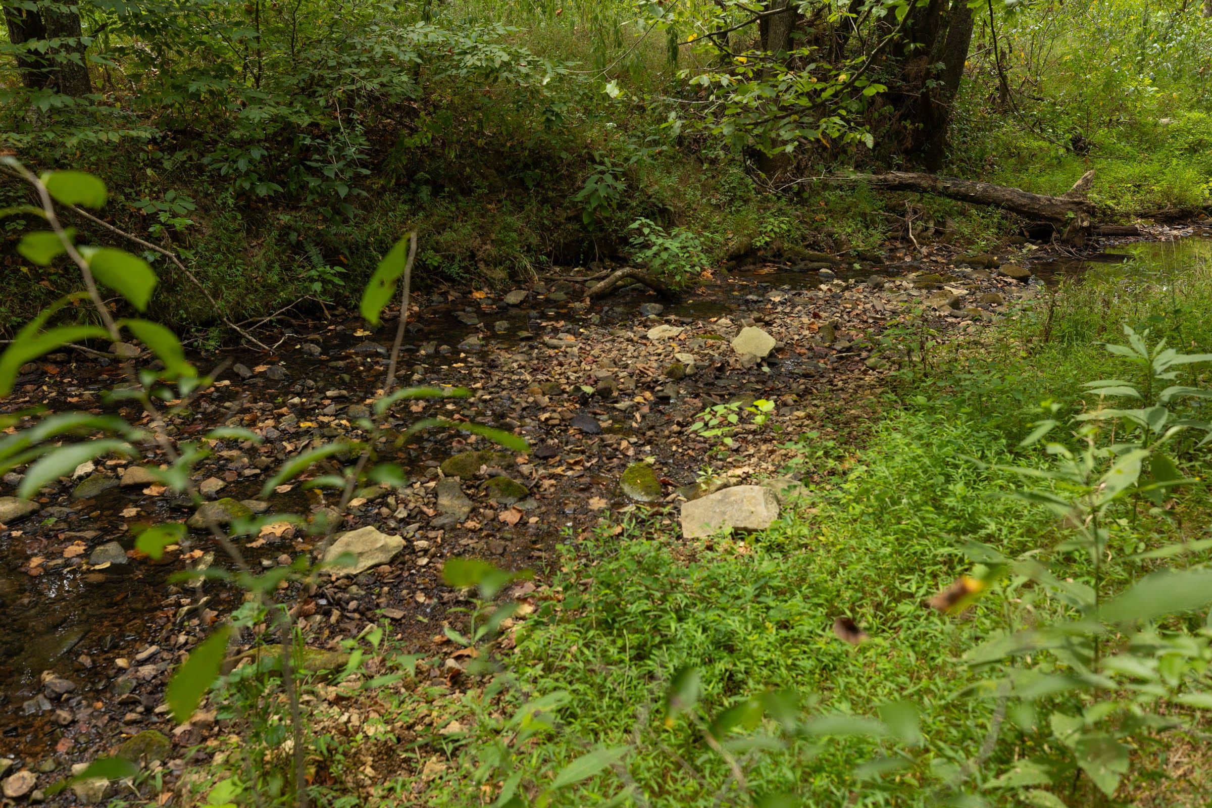 Big White Oak Tract 144 photo 16