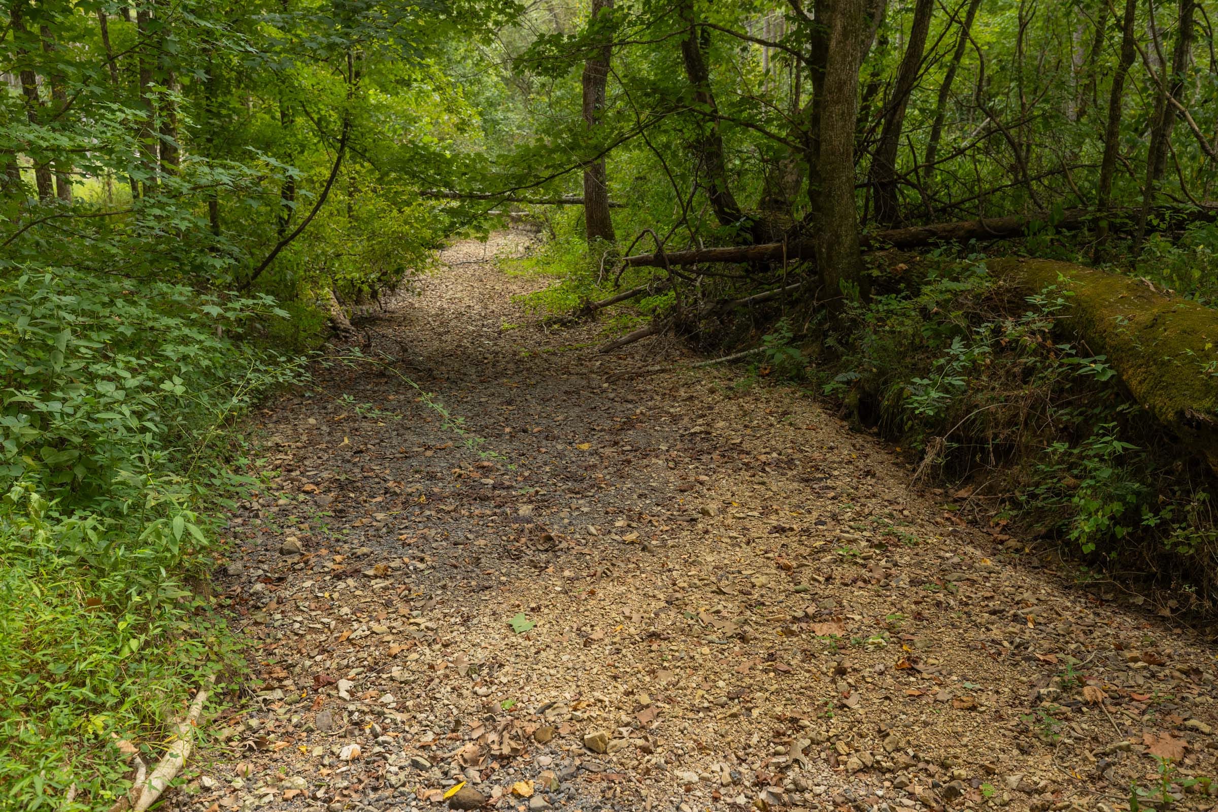 Big White Oak Tract 144 photo 15