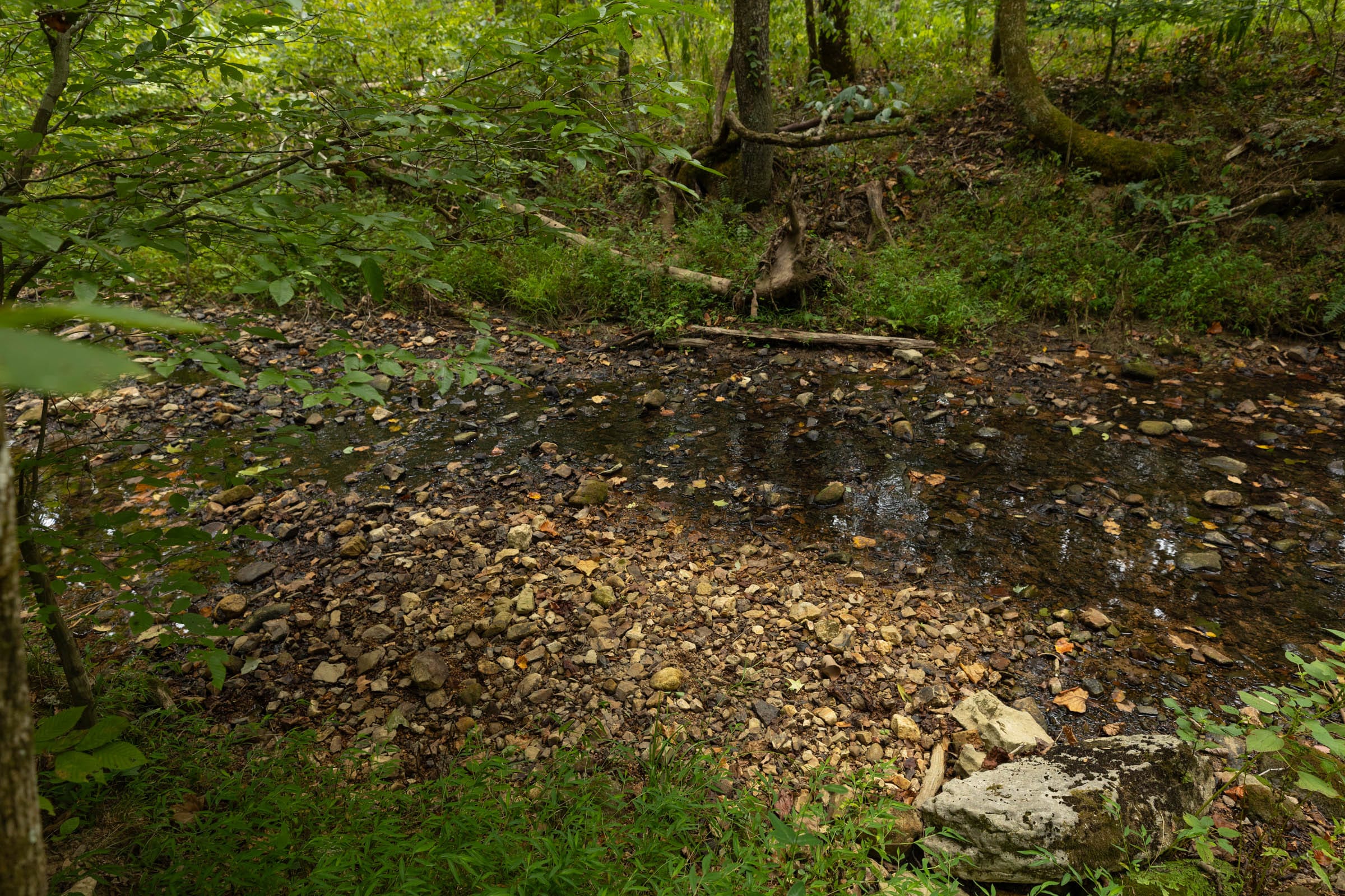 Big White Oak Tract 144 photo 14