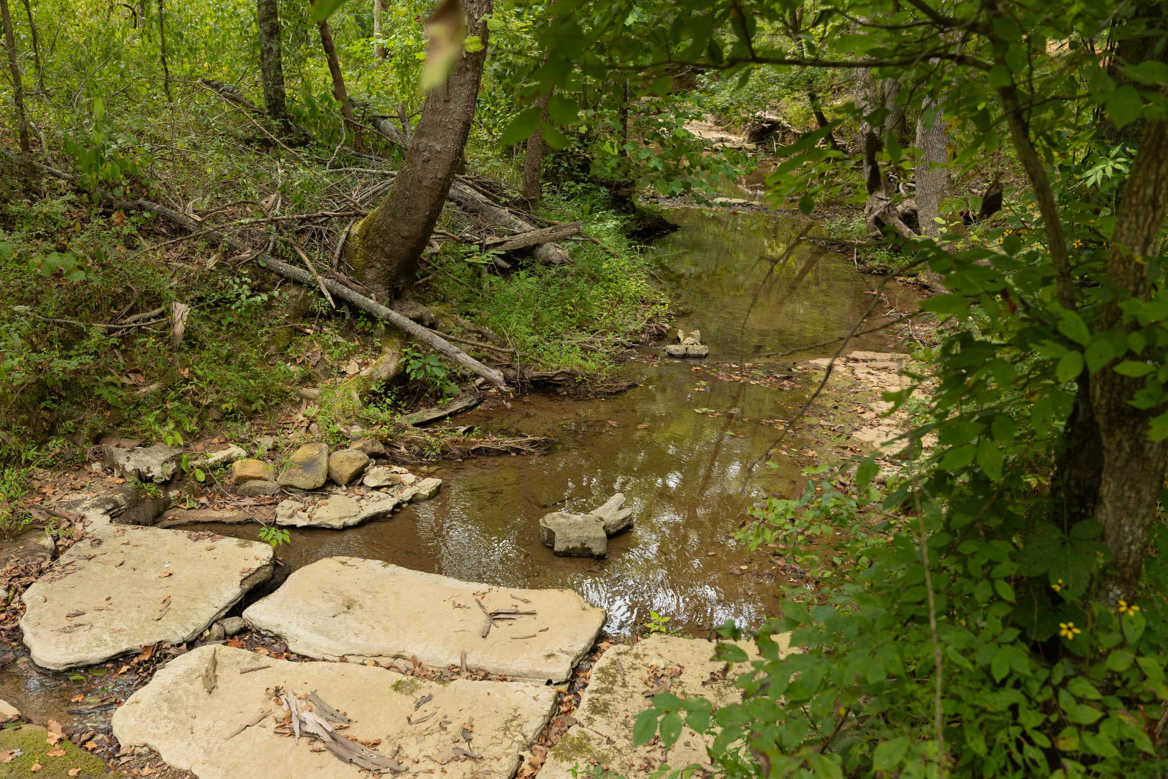 Big White Oak Tract 144 photo 12