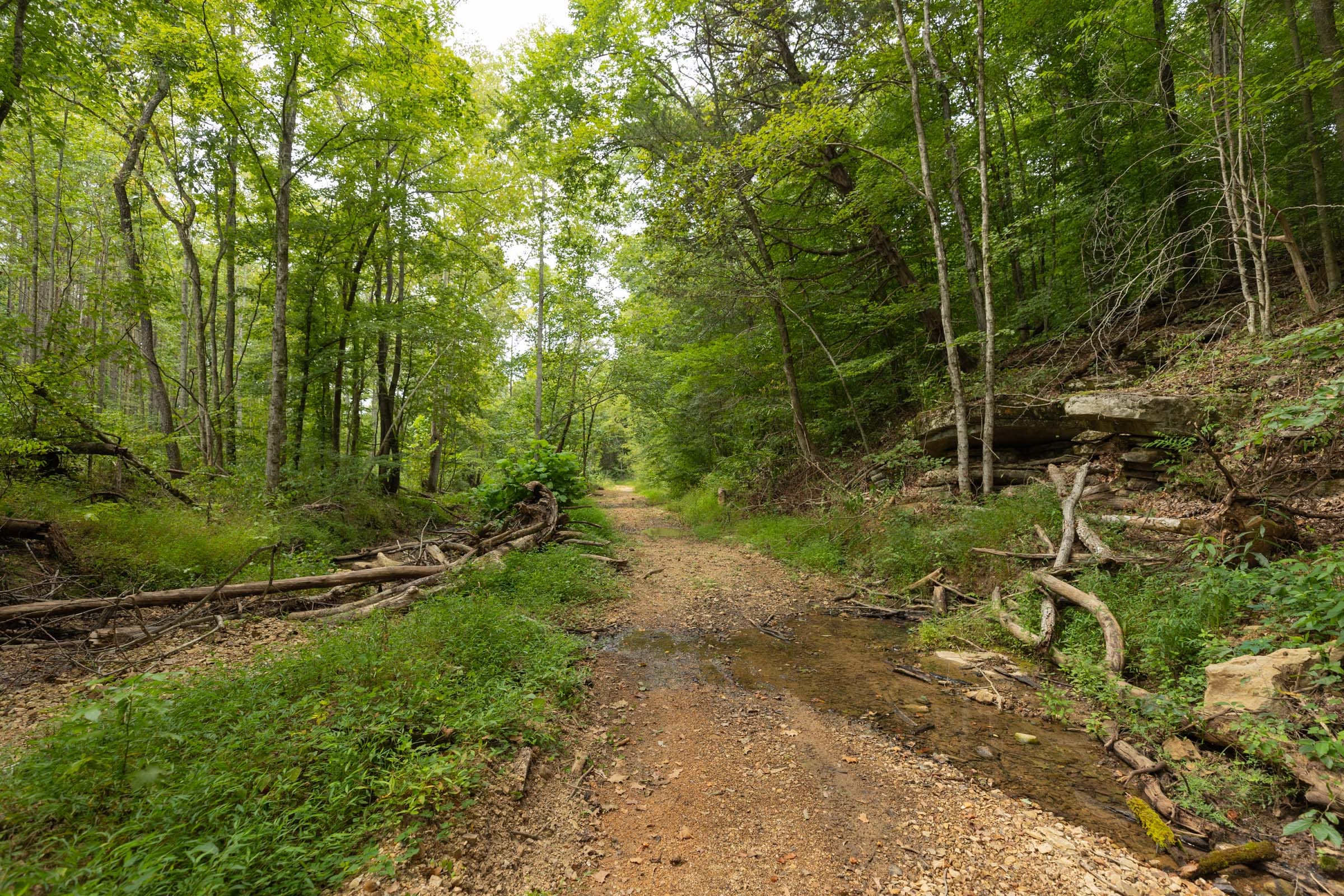 Big White Oak Tract 144 photo 11