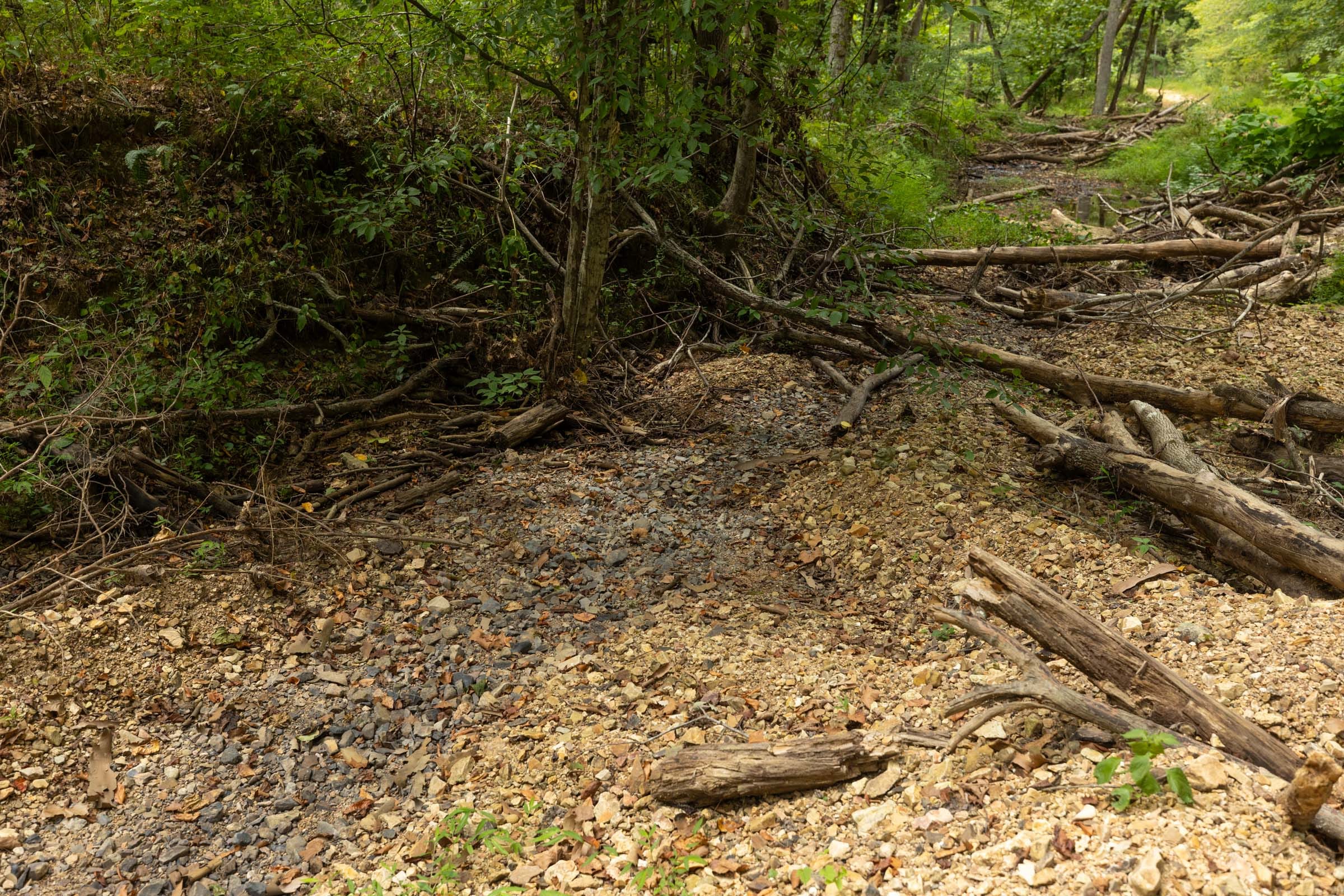 Big White Oak Tract 144 photo 8