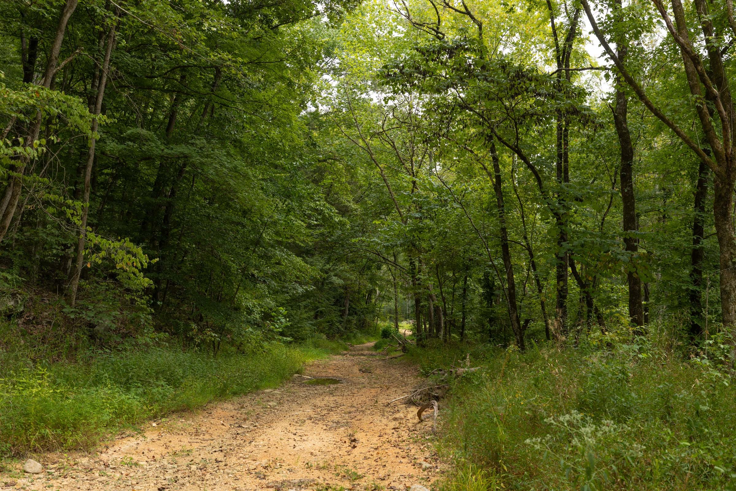 Big White Oak Tract 144 photo 7