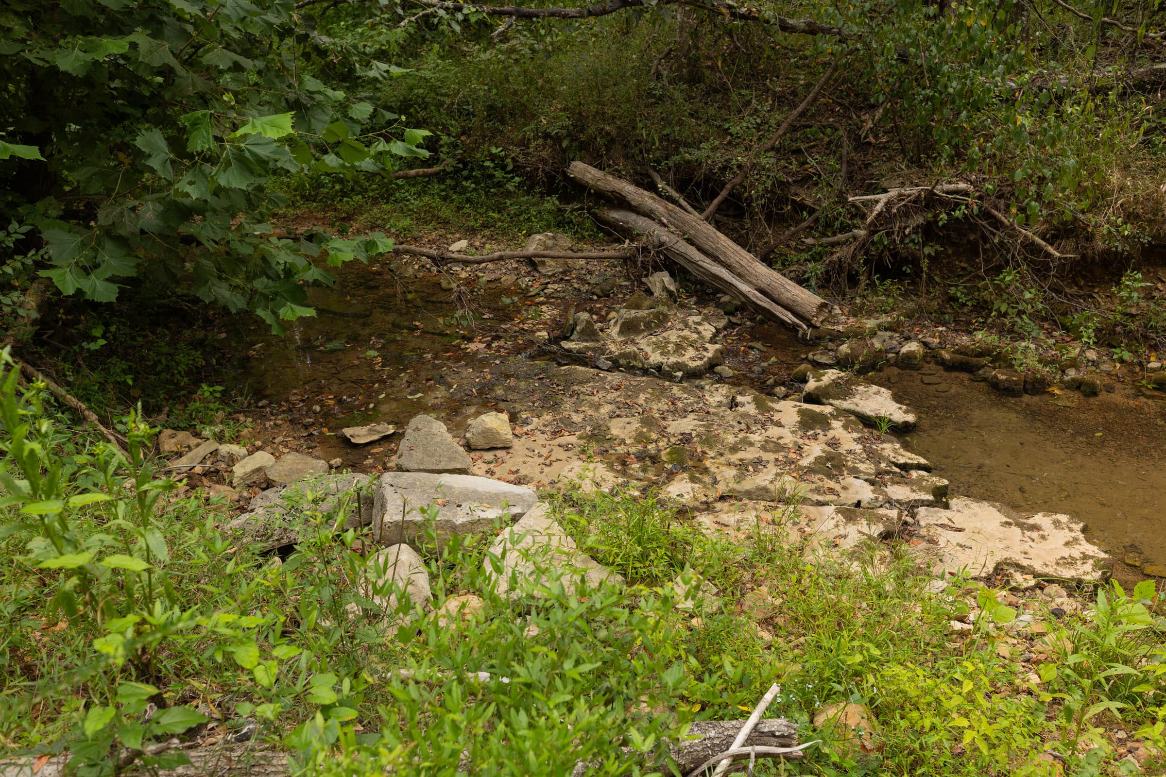 Big White Oak Tract 144 photo 6