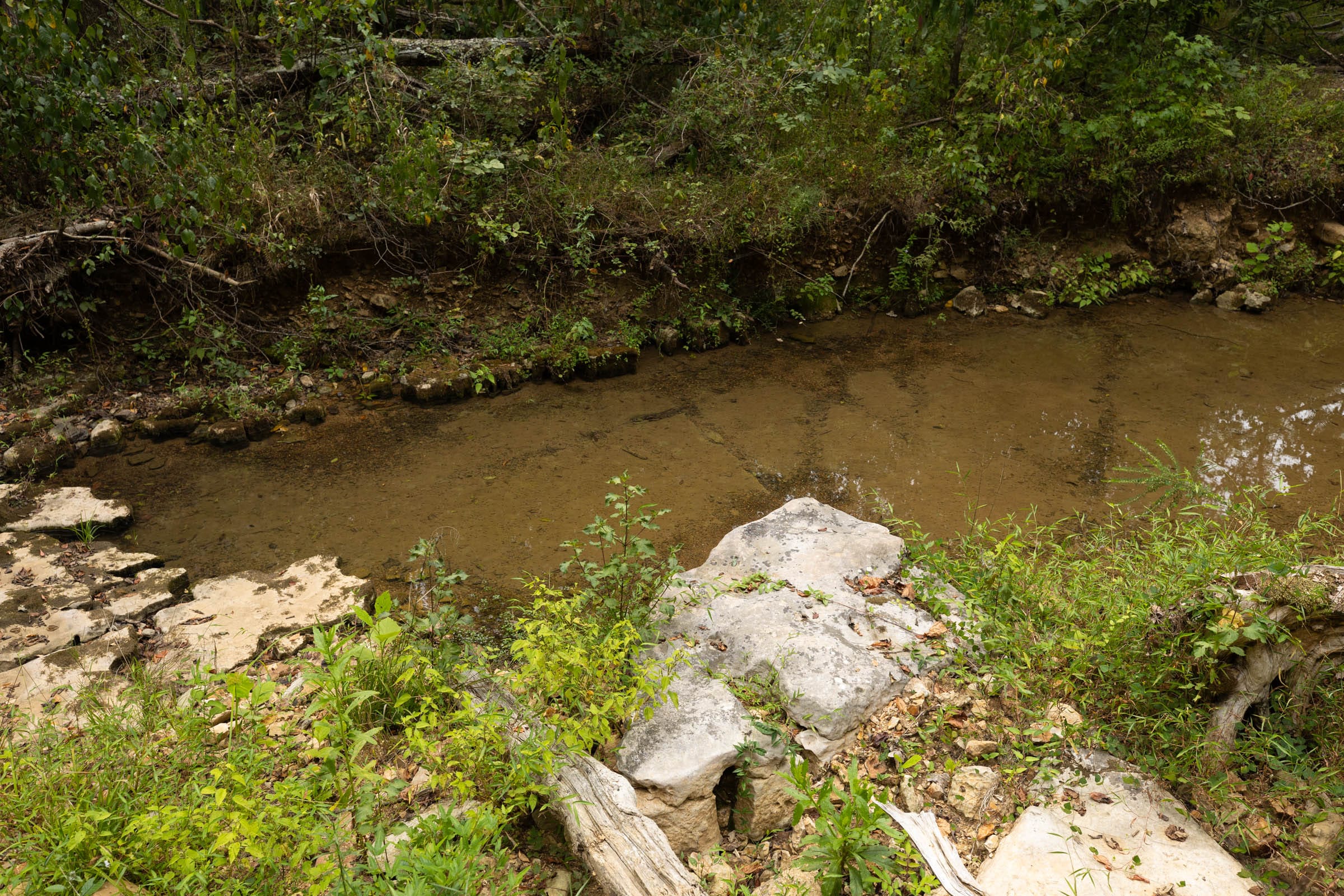 Big White Oak Tract 144 photo 2