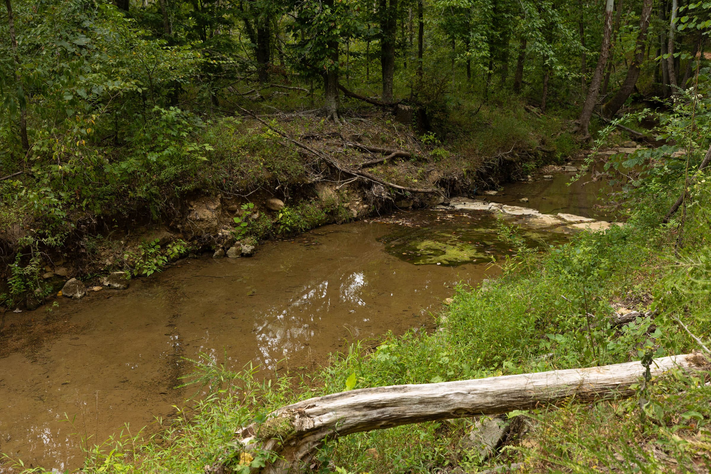 Big White Oak Tract 144 photo 3