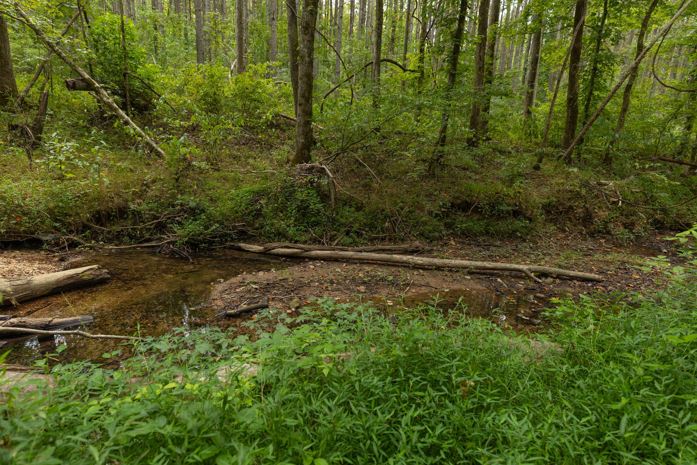 Big White Oak Tract 144 photo 4