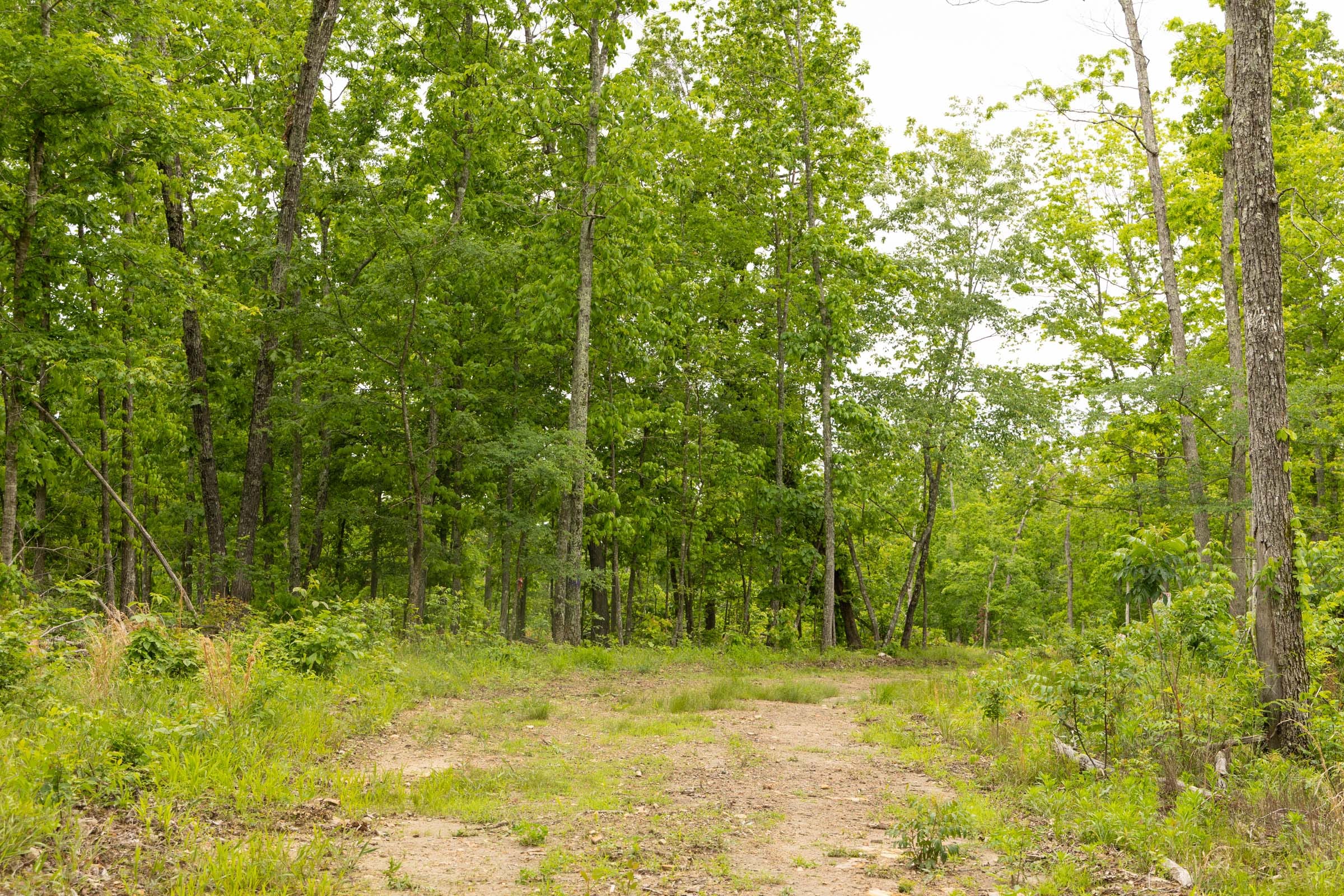 Stardust Estates Tract 18 photo 7