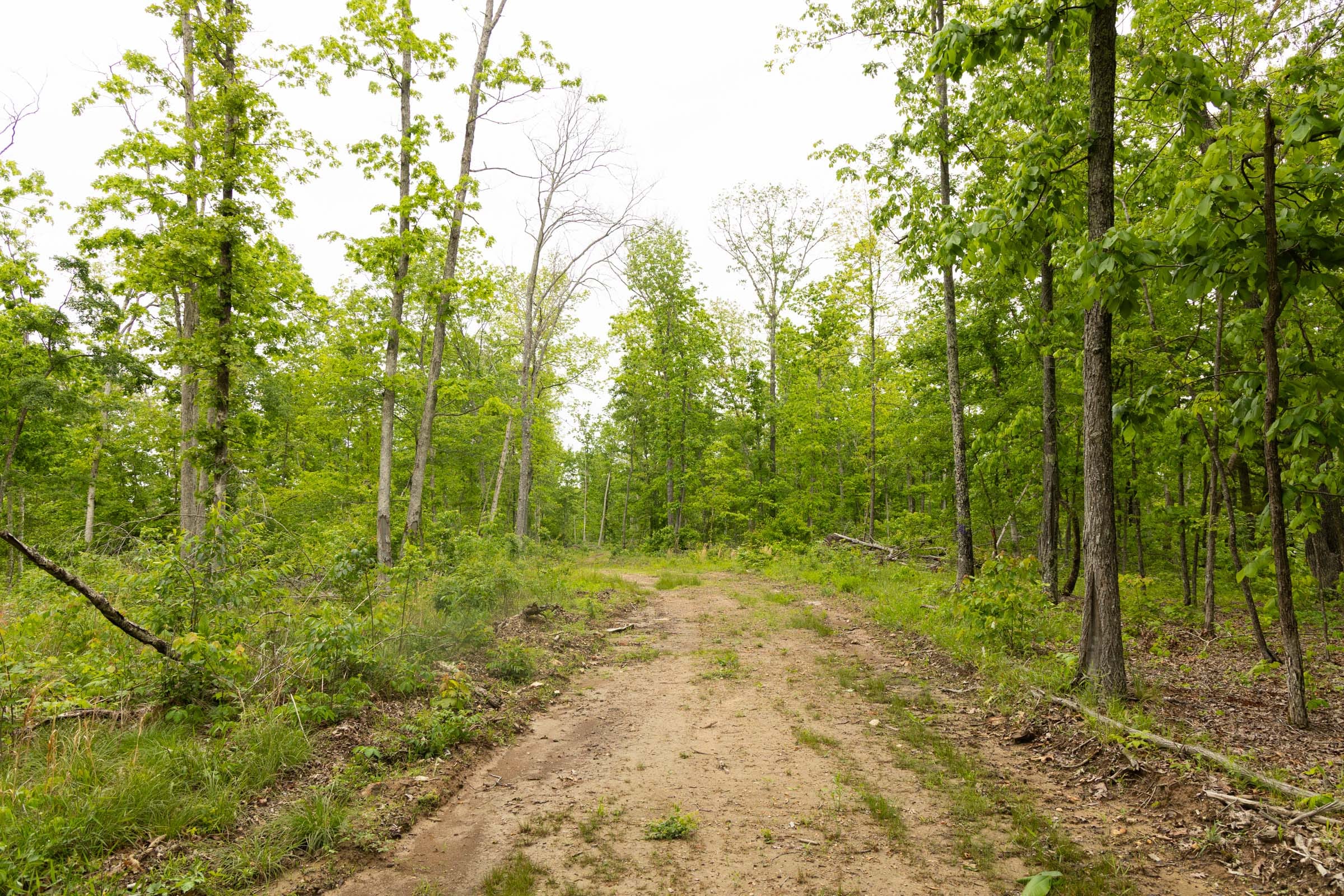 Stardust Estates Tract 18 photo 2