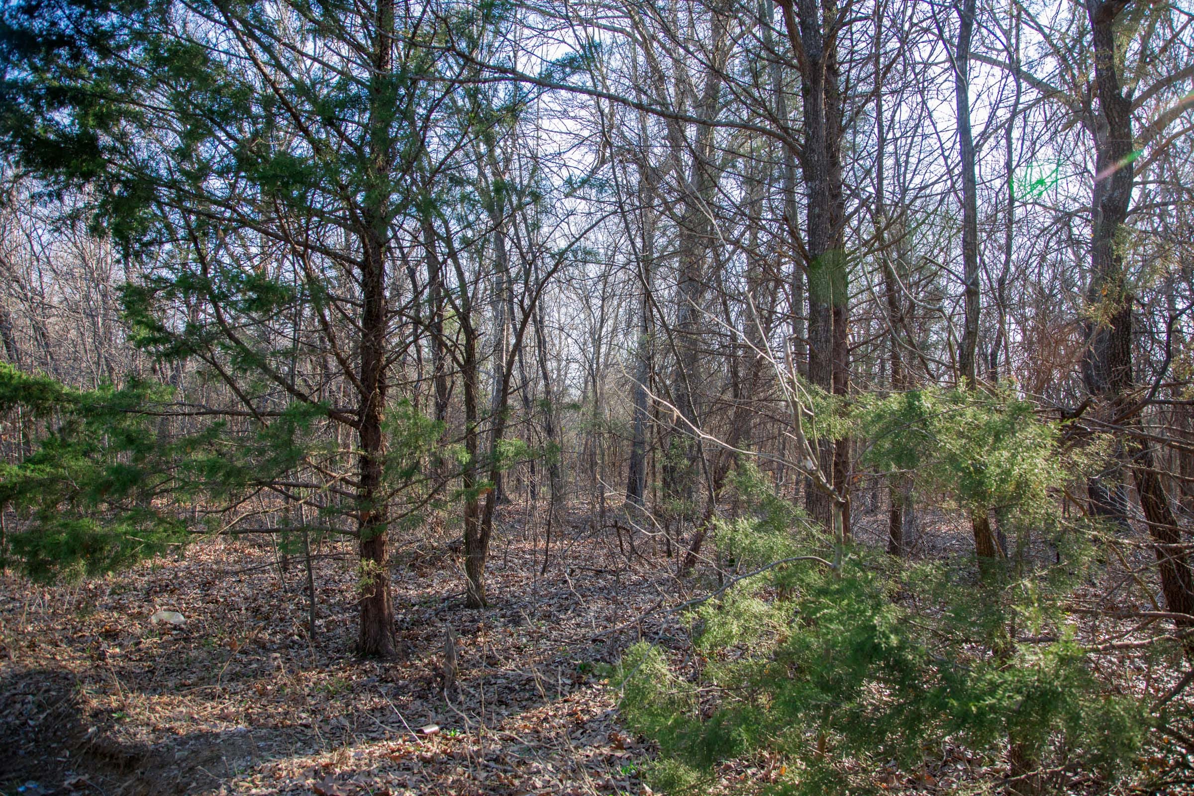 Eufaula Cove Tract 22 photo 8
