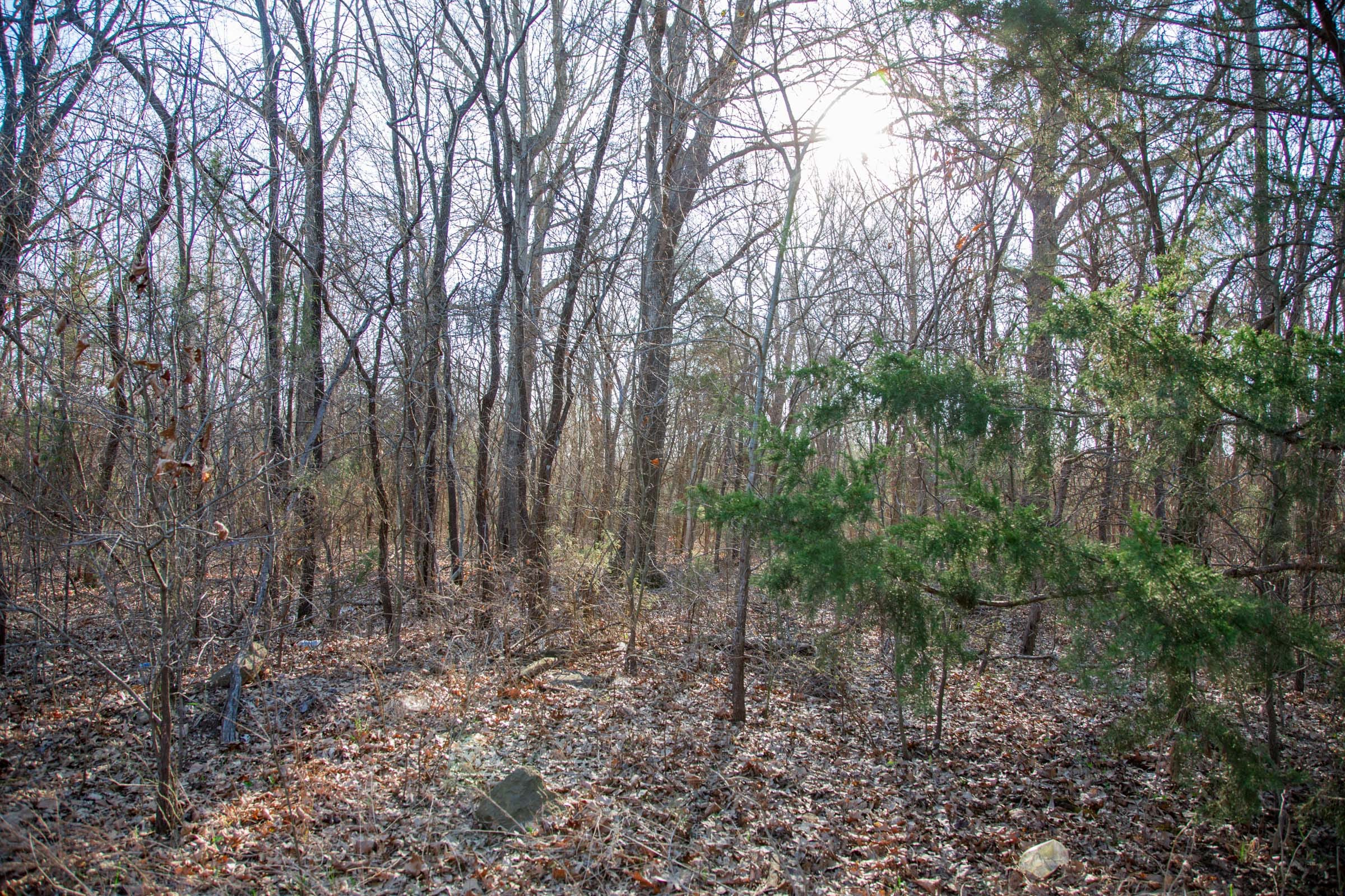 Eufaula Cove Tract 22 photo 9