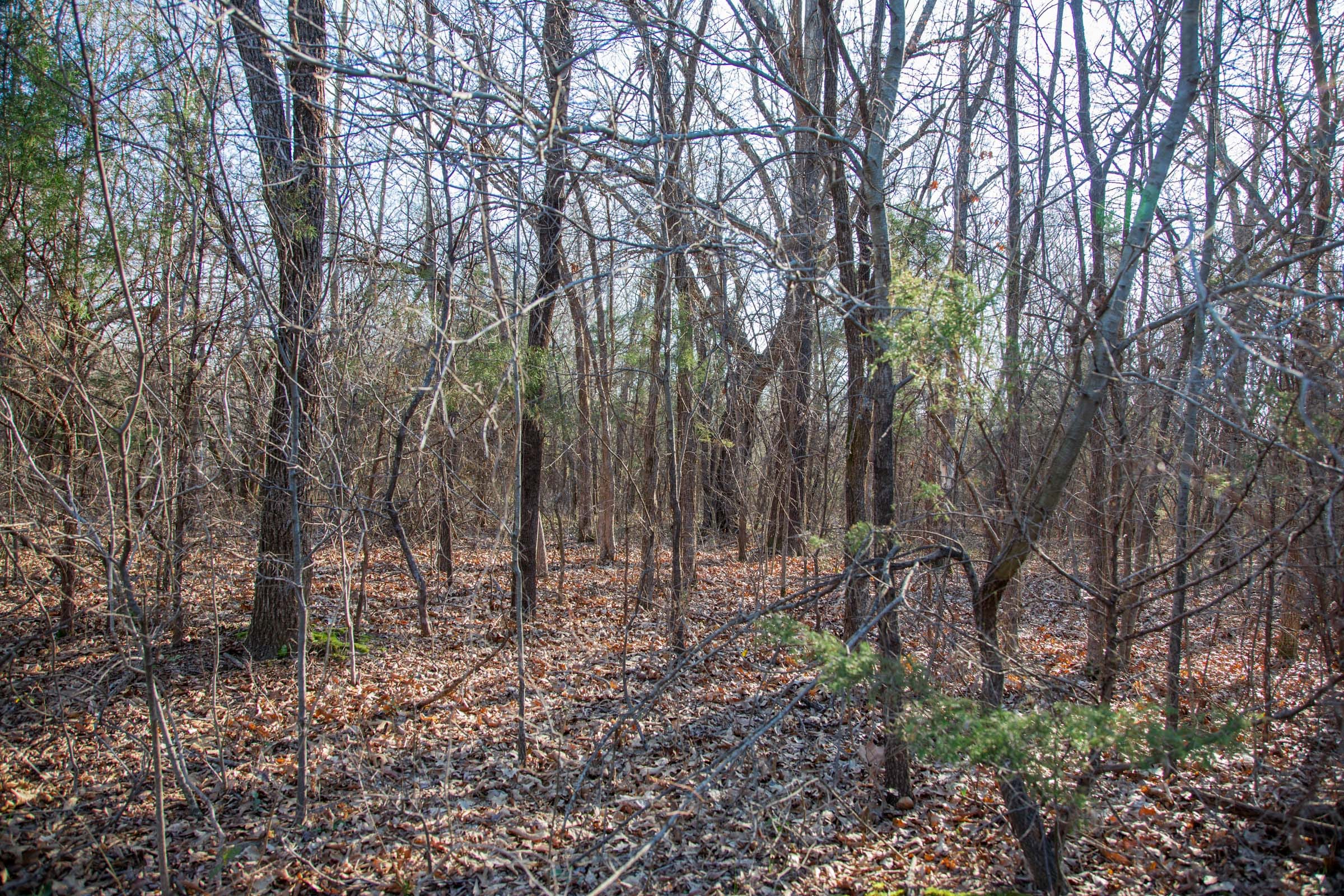 Eufaula Cove Tract 22 photo 10