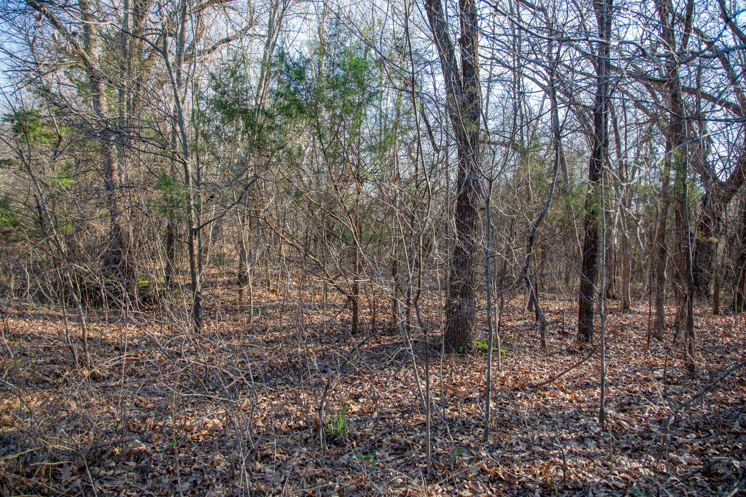 Eufaula Cove Tract 22 photo 11