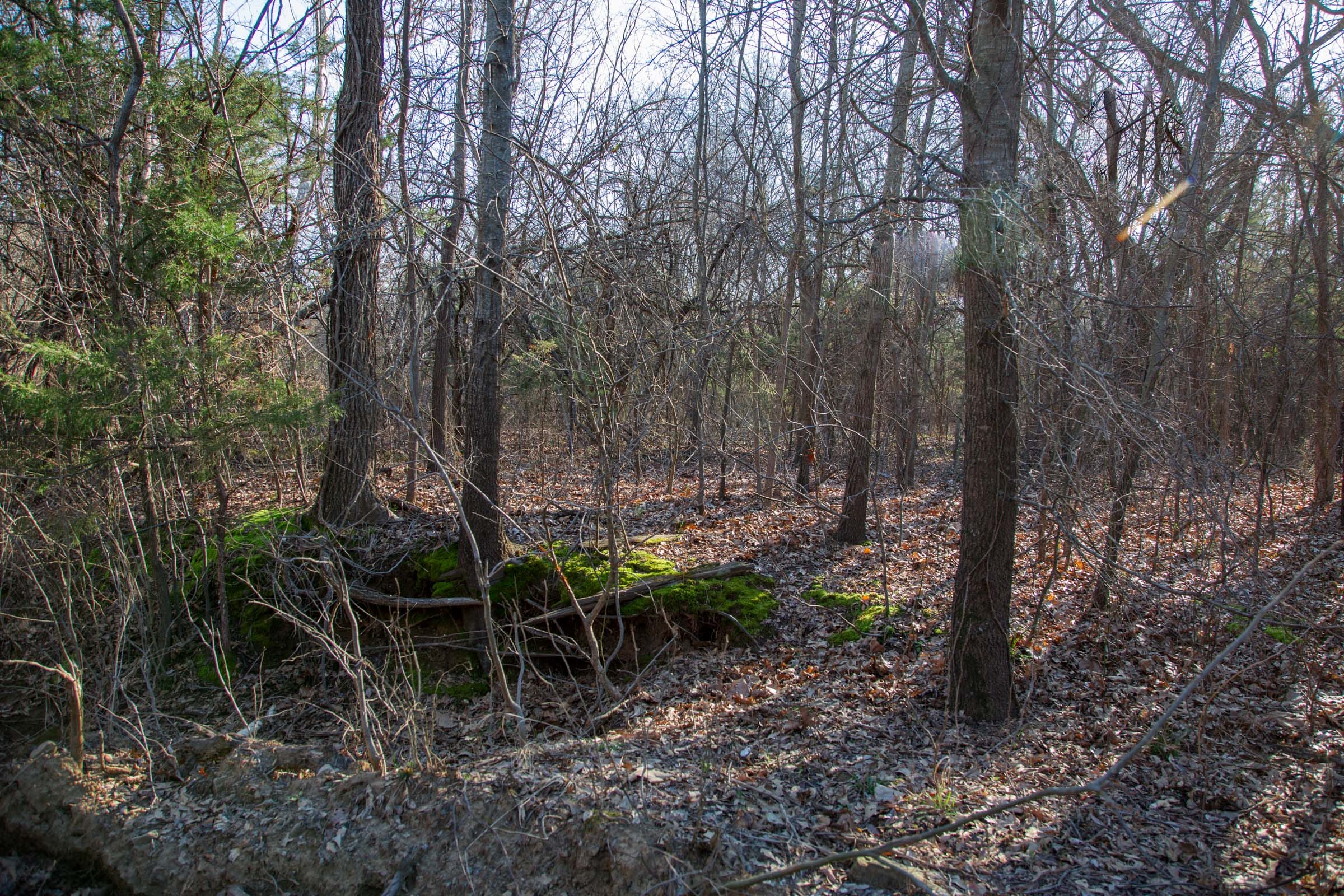 Eufaula Cove Tract 22 photo 12