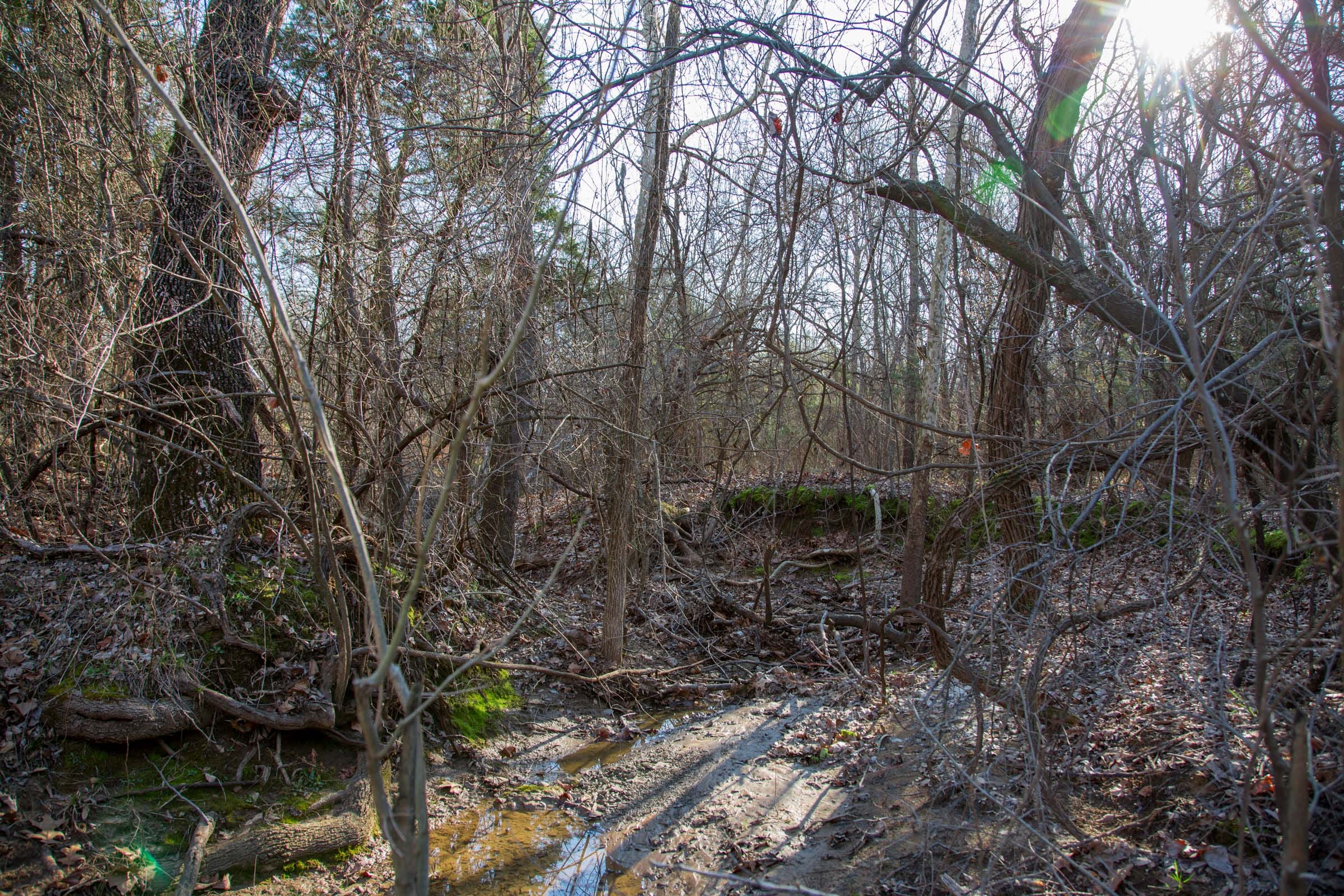 Eufaula Cove Tract 22 photo 13