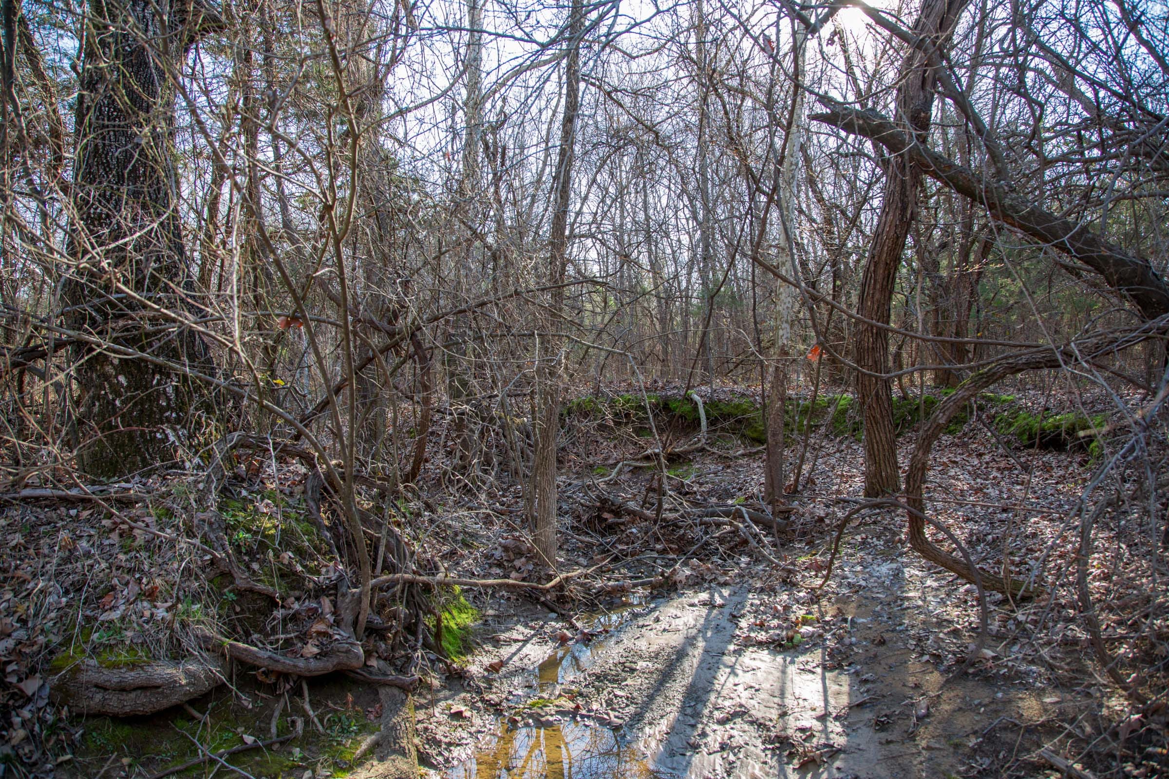 Eufaula Cove Tract 22 photo 14