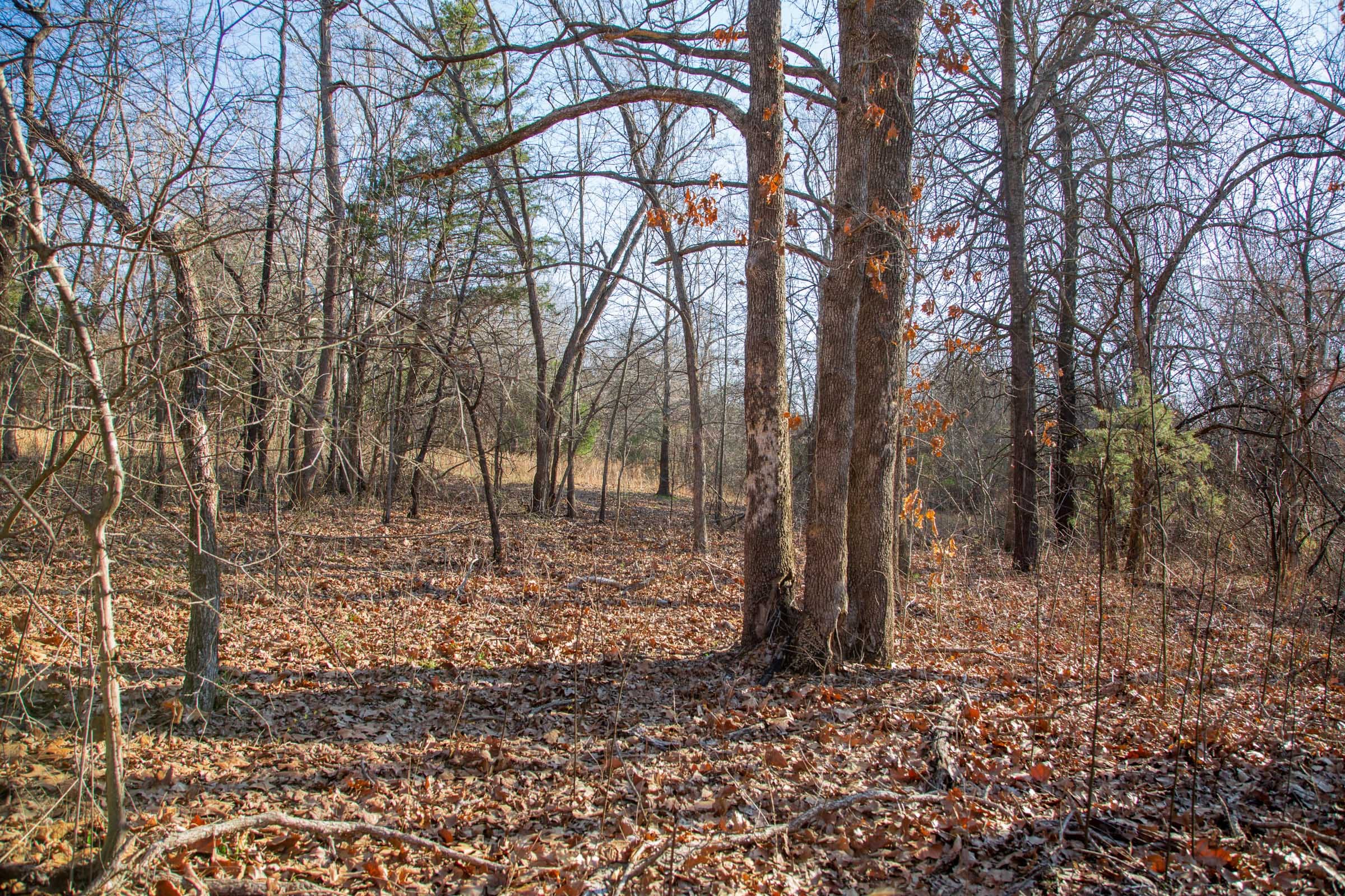 Eufaula Cove Tract 22 photo 15