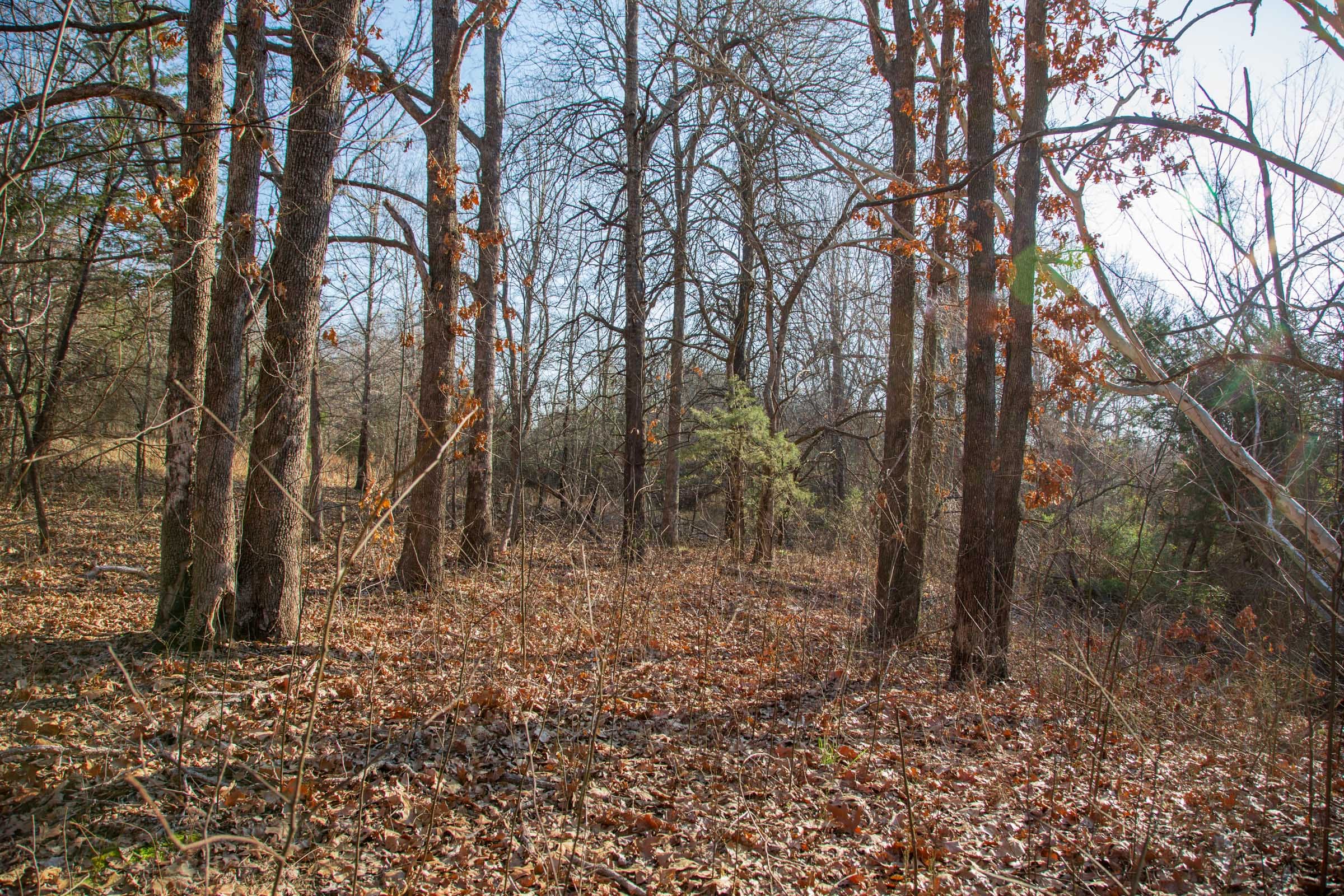 Eufaula Cove Tract 22 photo 16
