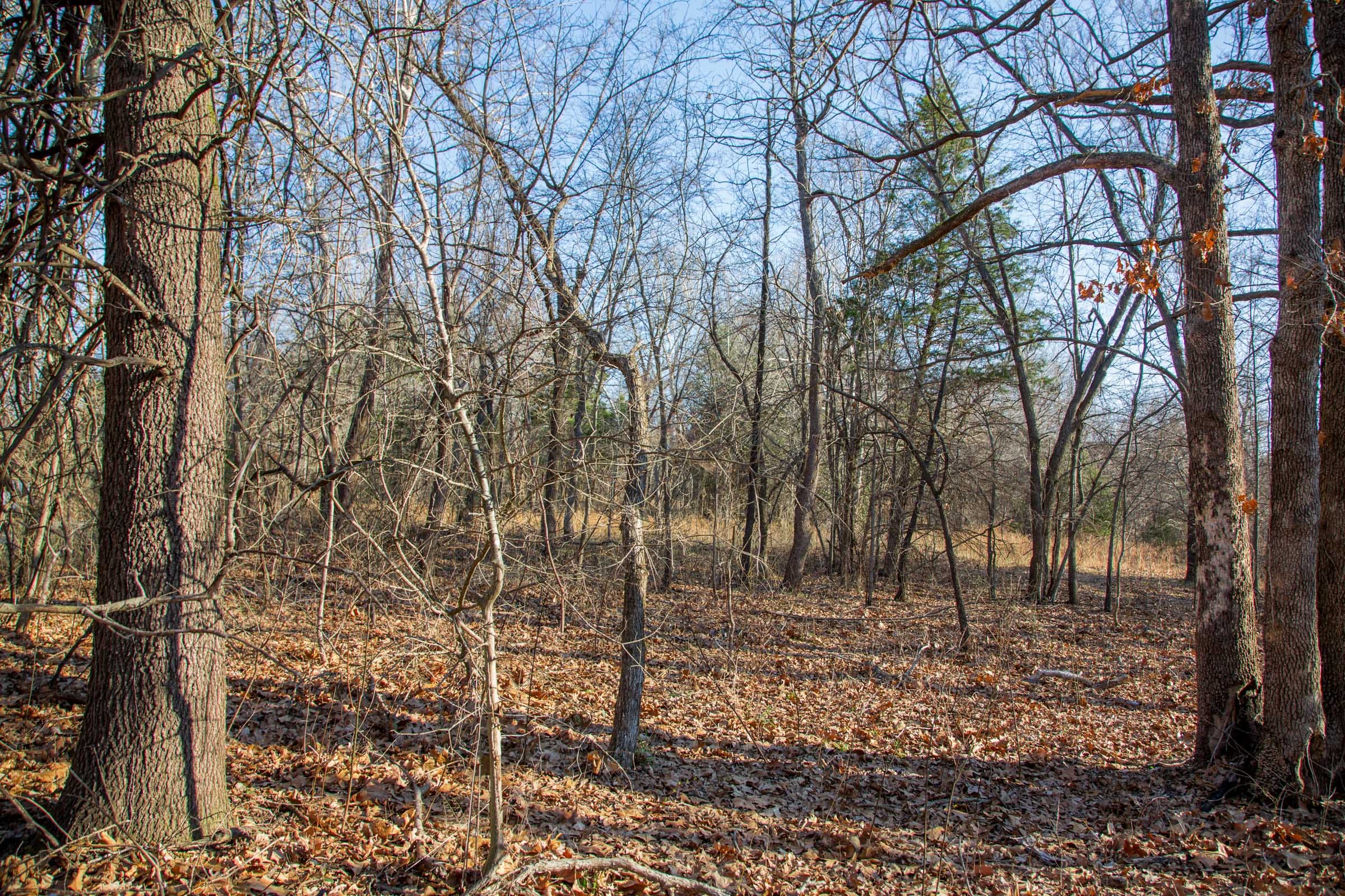 Eufaula Cove Tract 22 photo 17
