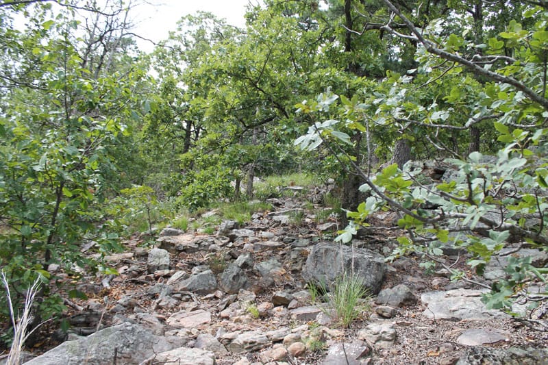 Trophy Ridge Phase III Tract 31 photo 8