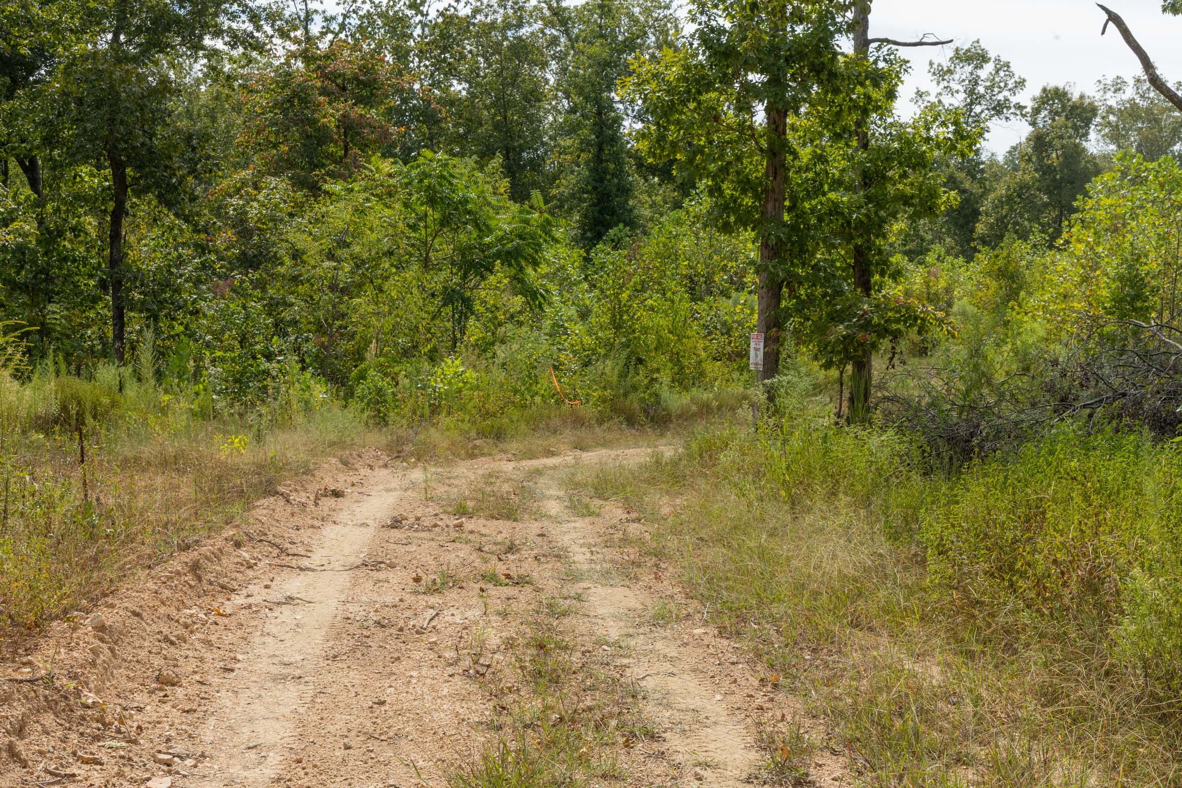 Big White Oak Tract 74 photo 1