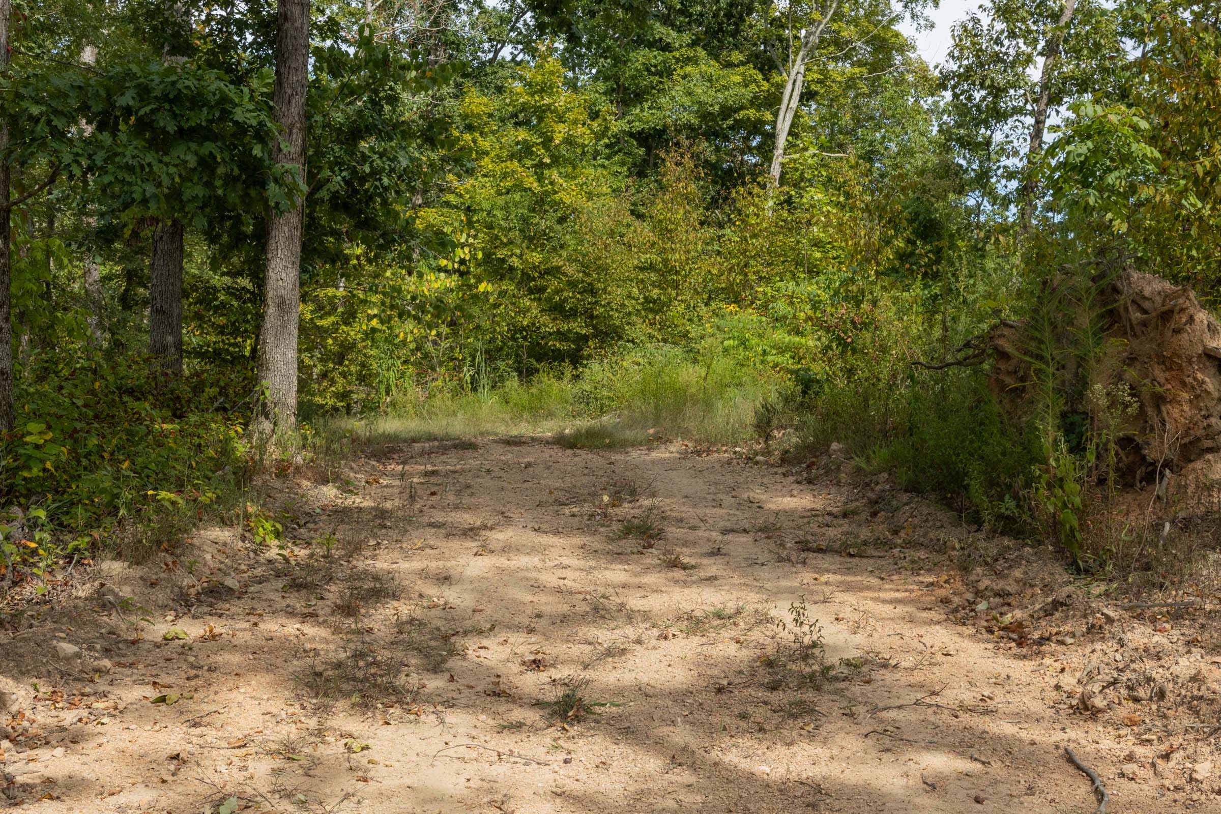 Big White Oak Tract 74 photo 4