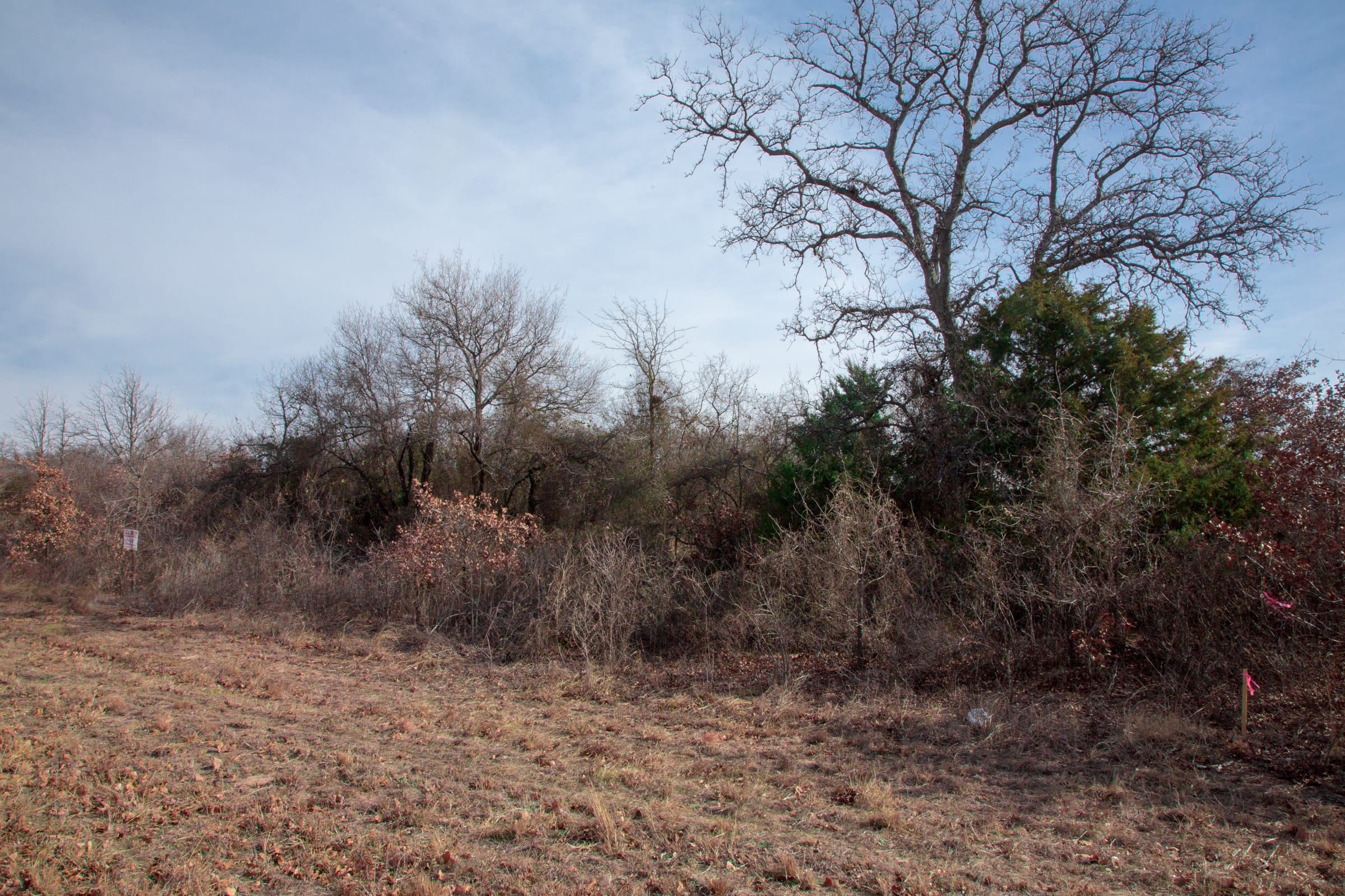 Legacy Ranch Tract 3 photo 9