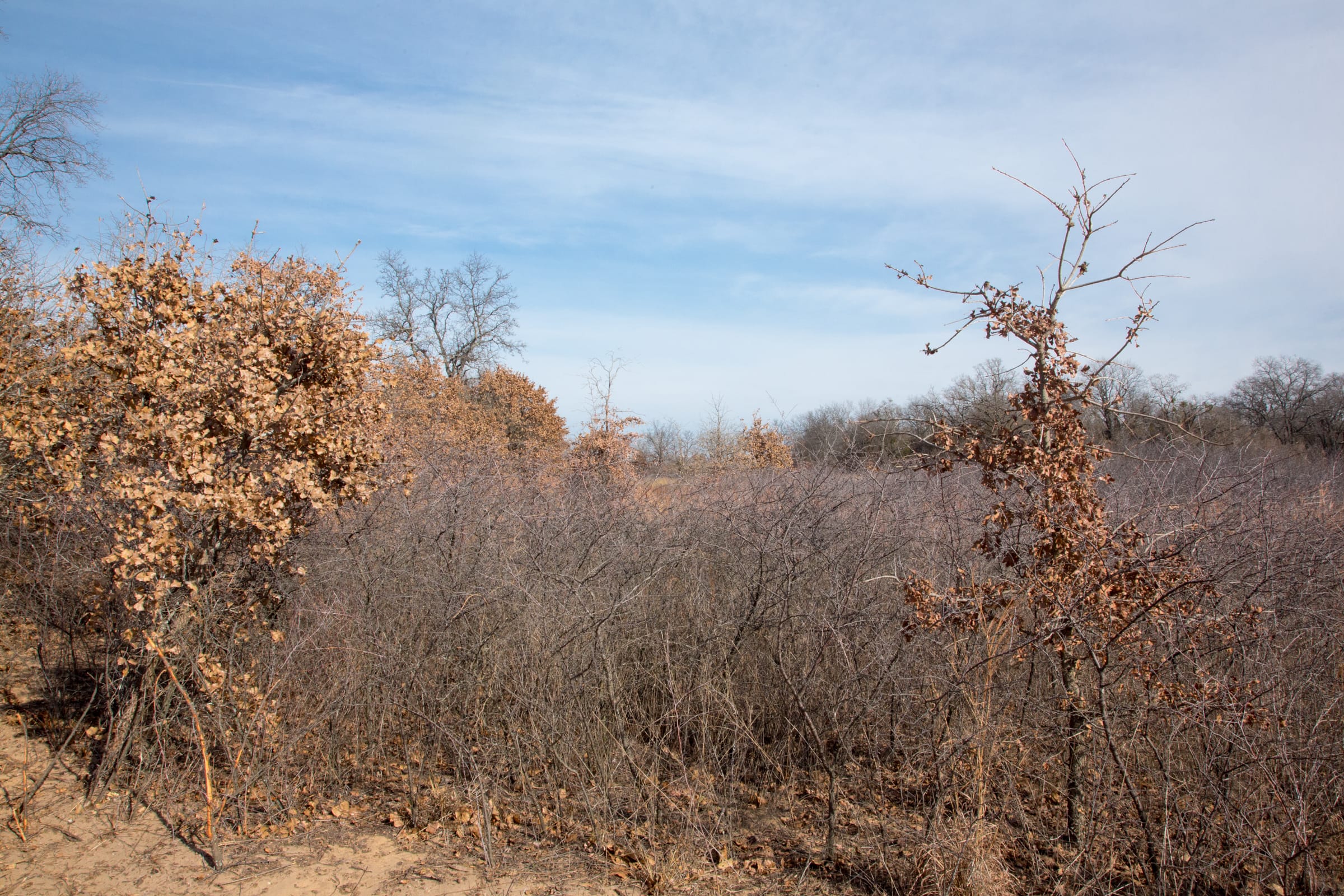 Legacy Ranch Tract 3 photo 10