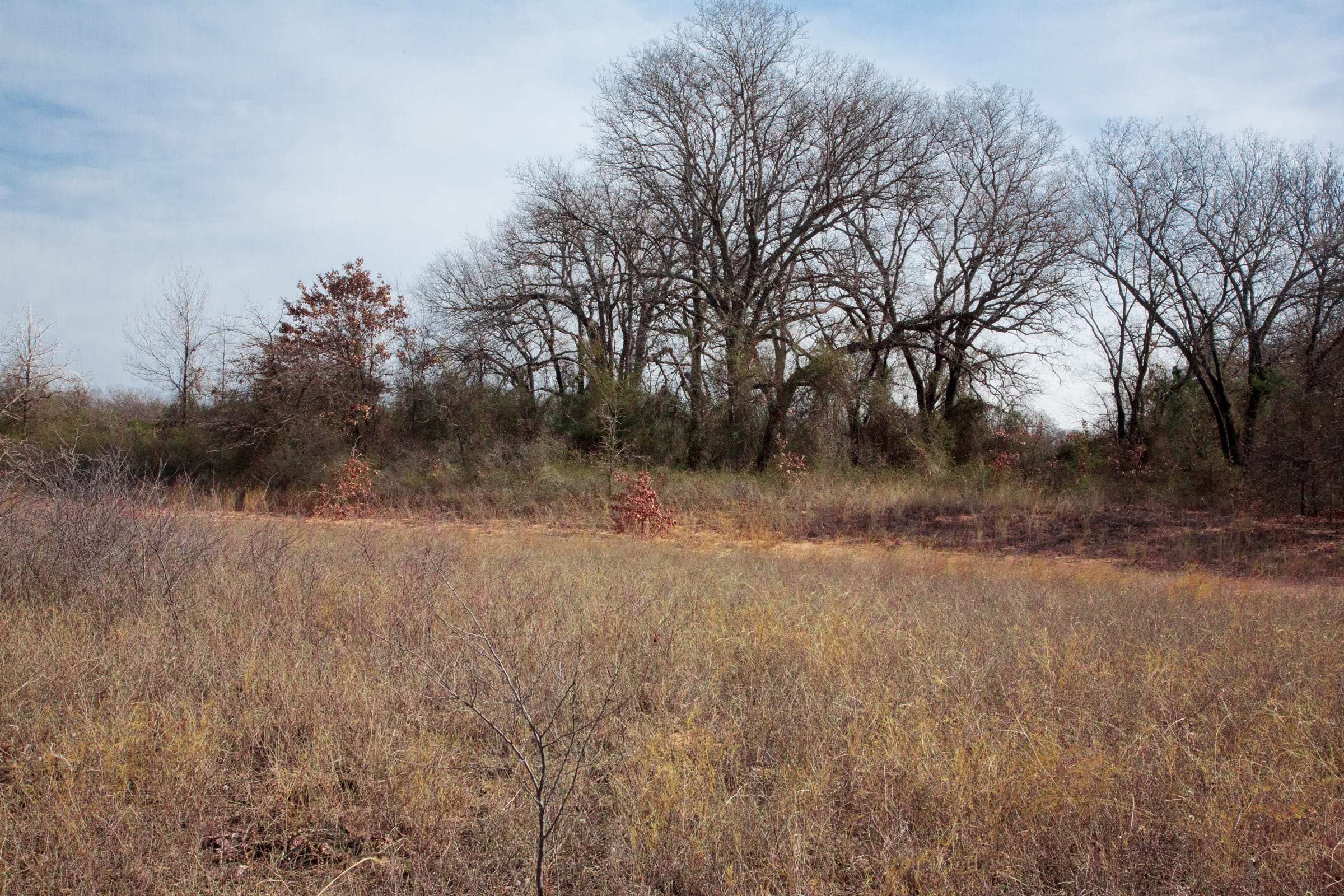 Legacy Ranch Tract 3 photo 13