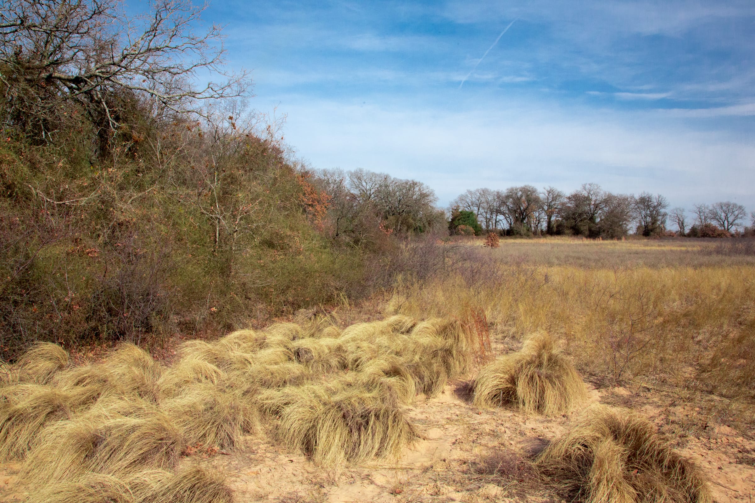 Legacy Ranch Tract 3 photo 19