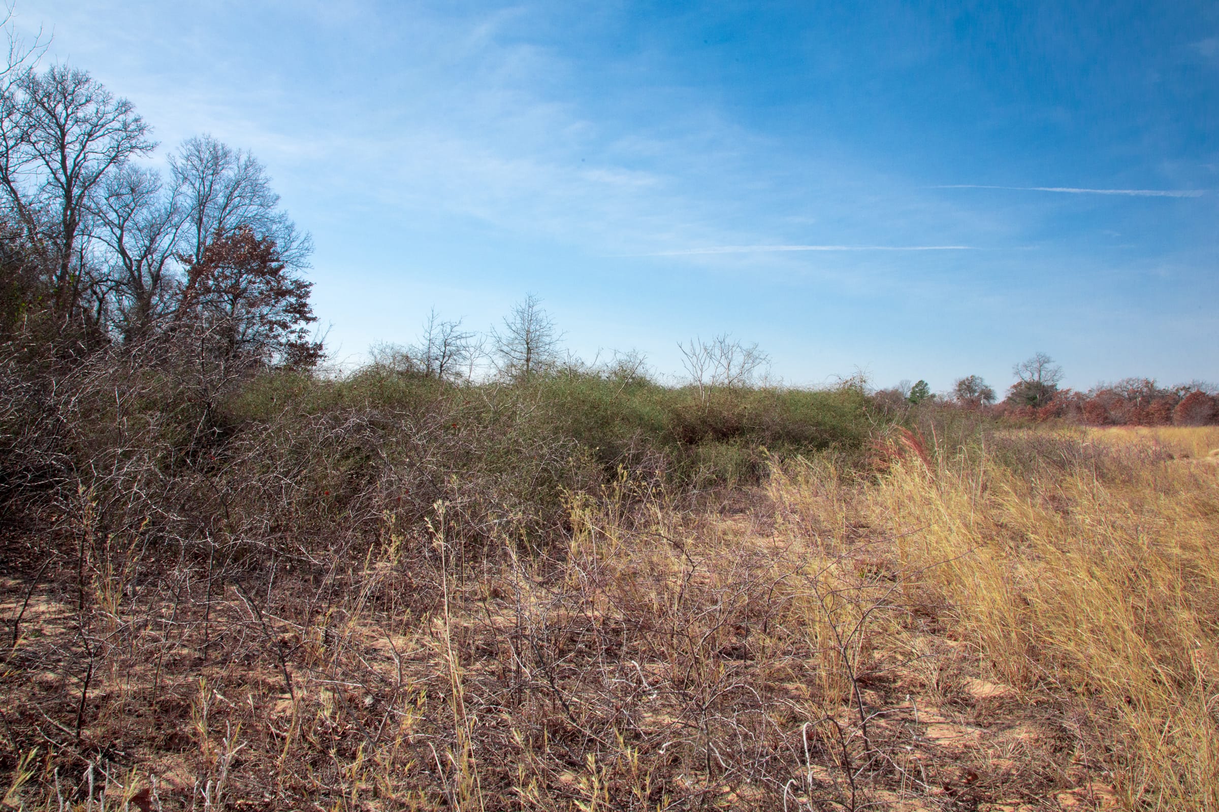 Legacy Ranch Tract 3 photo 21