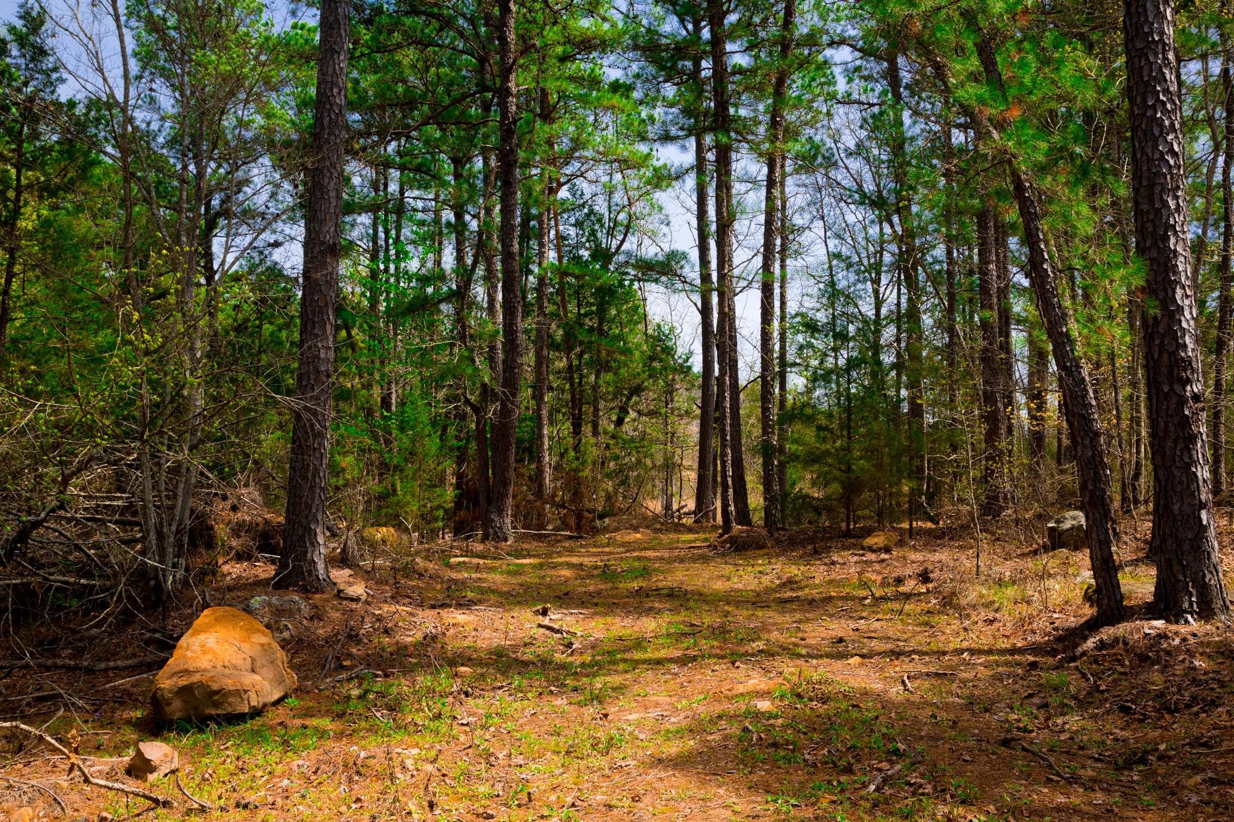 Stone Creek Phase II Tract 210 photo 1