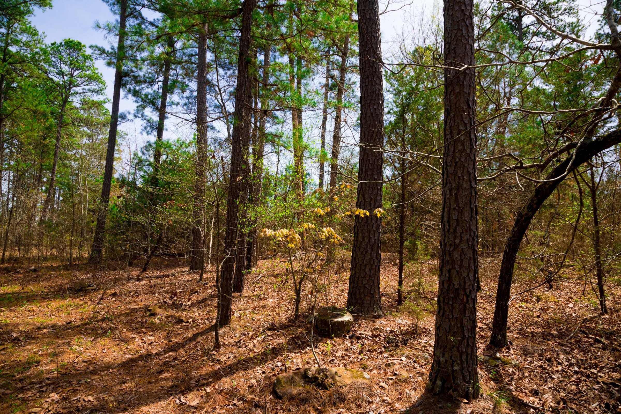 Stone Creek Phase II Tract 210 photo 8