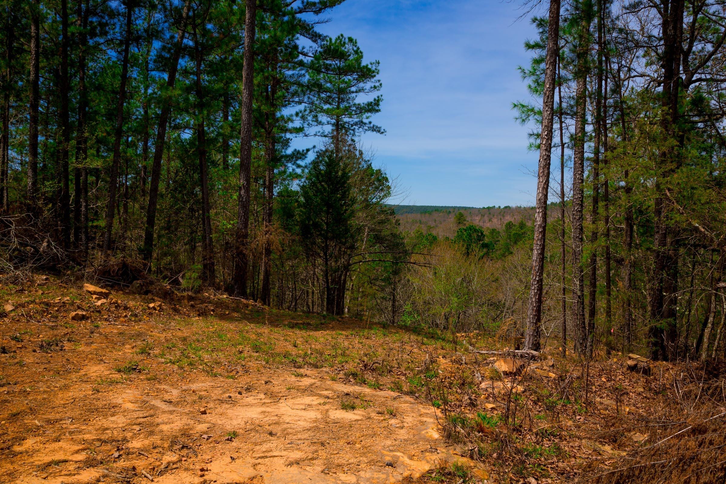 Stone Creek Phase II Tract 210 photo 9