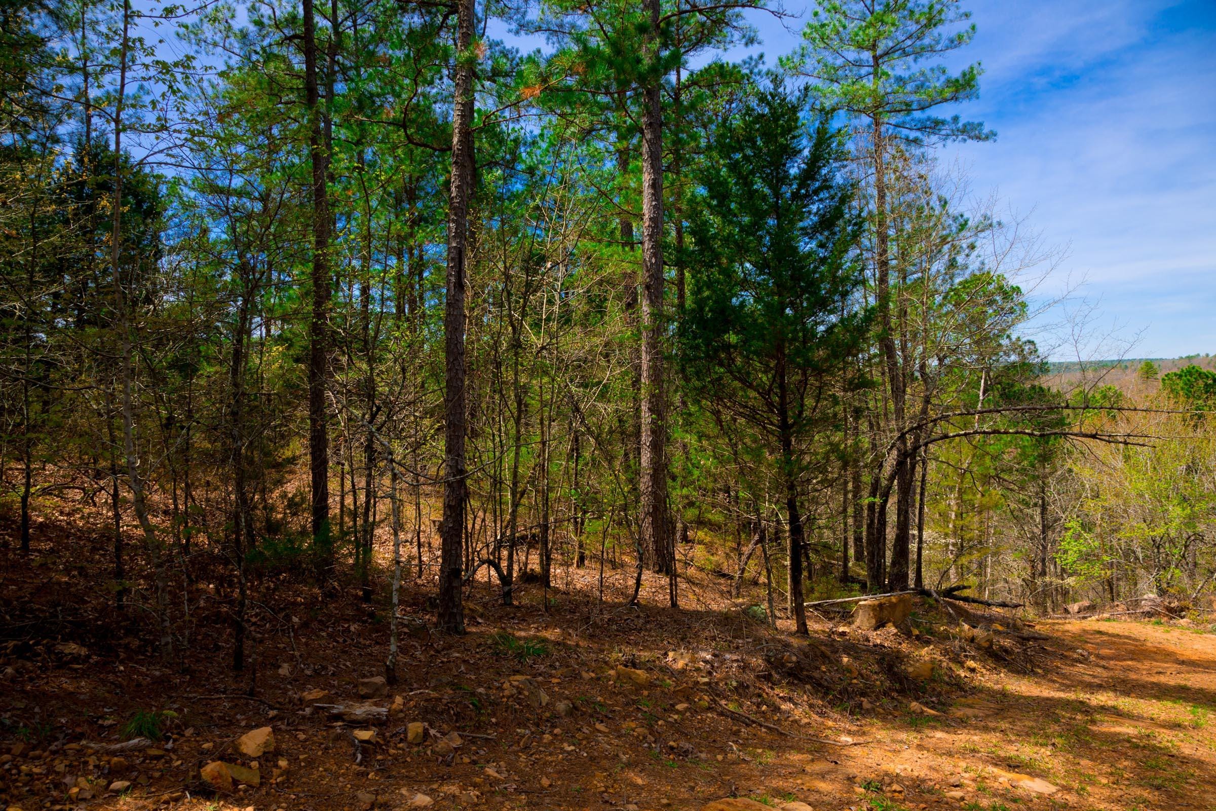 Stone Creek Phase II Tract 210 photo 10