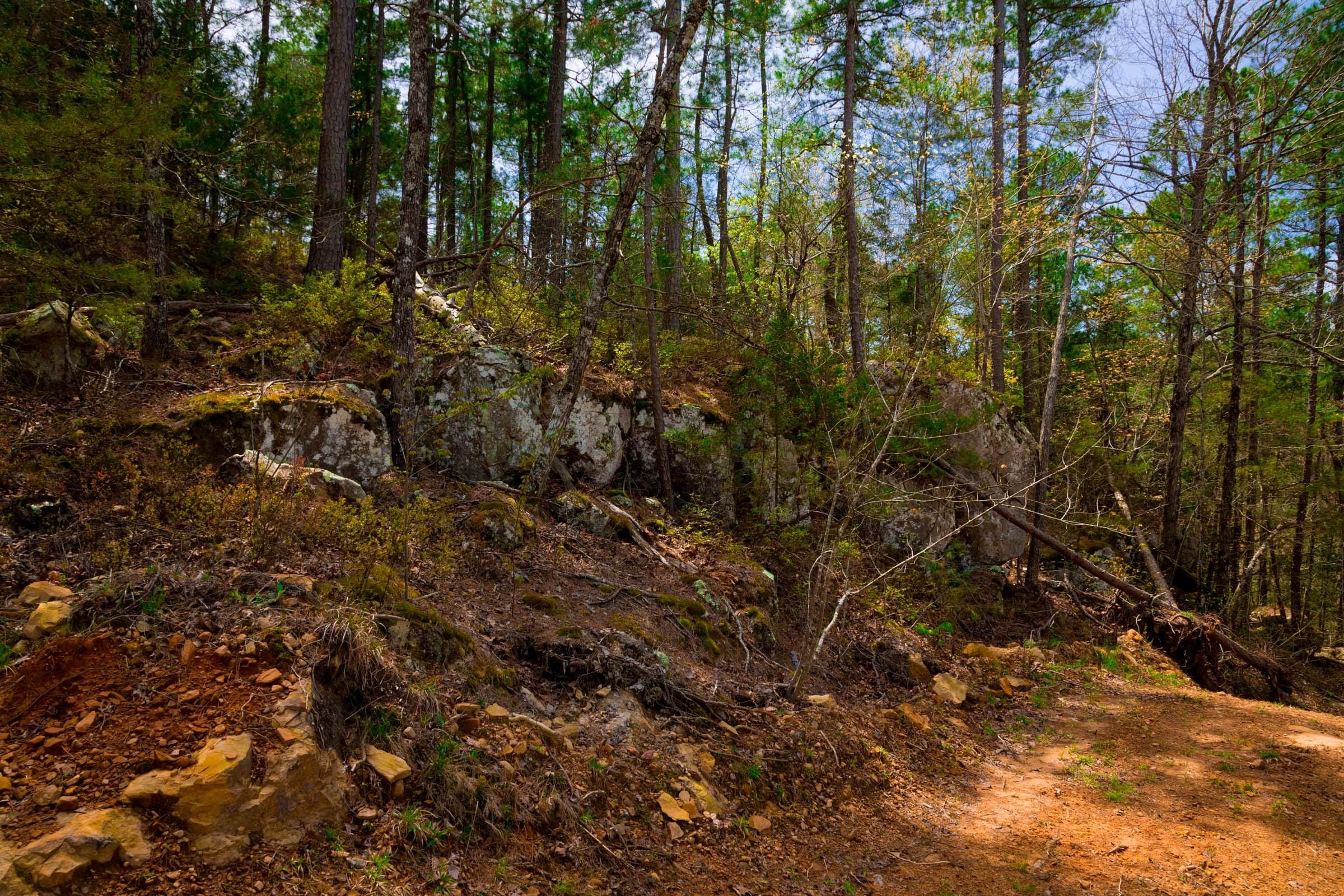 Stone Creek Phase II Tract 210 photo 11