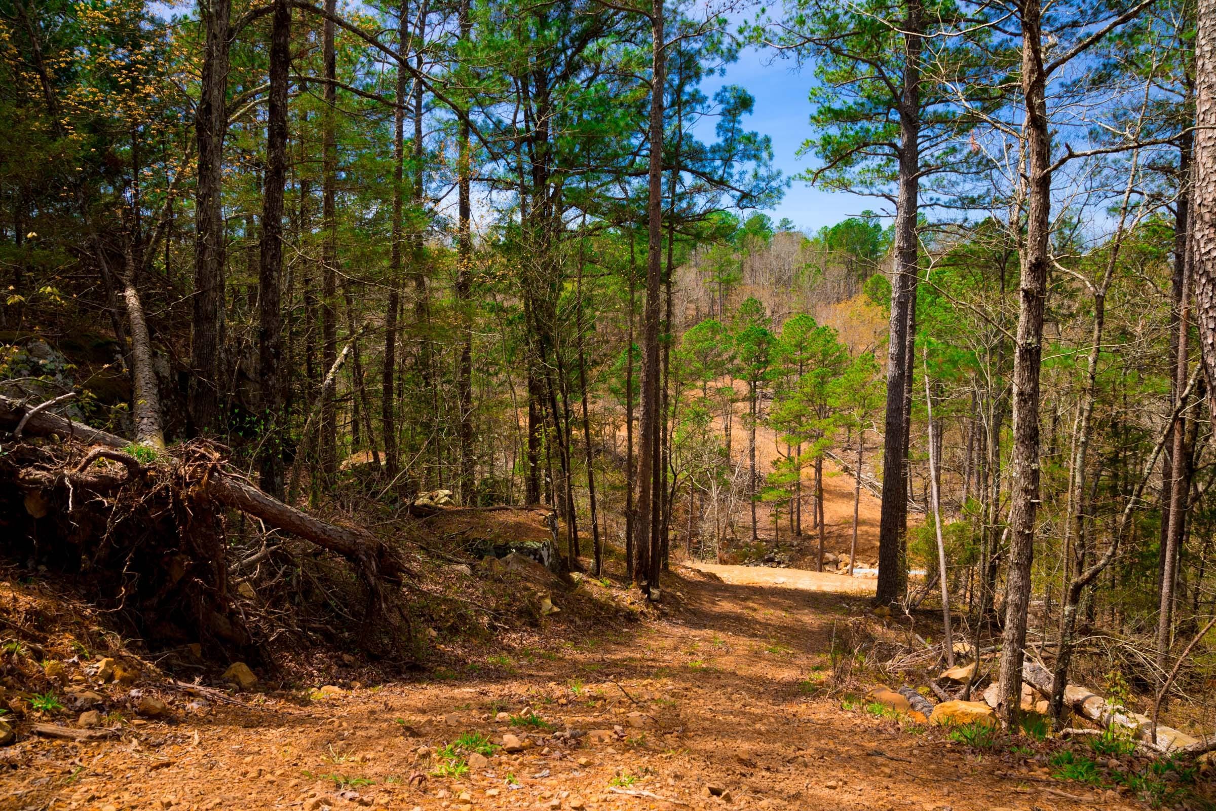 Stone Creek Phase II Tract 210 photo 12