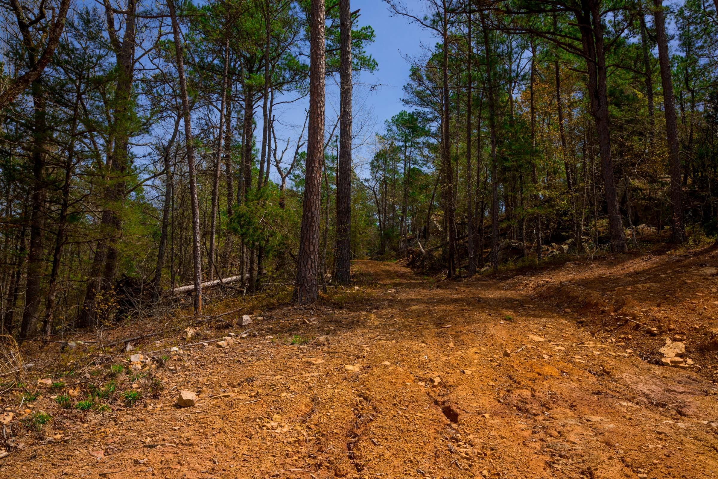 Stone Creek Phase II Tract 210 photo 13