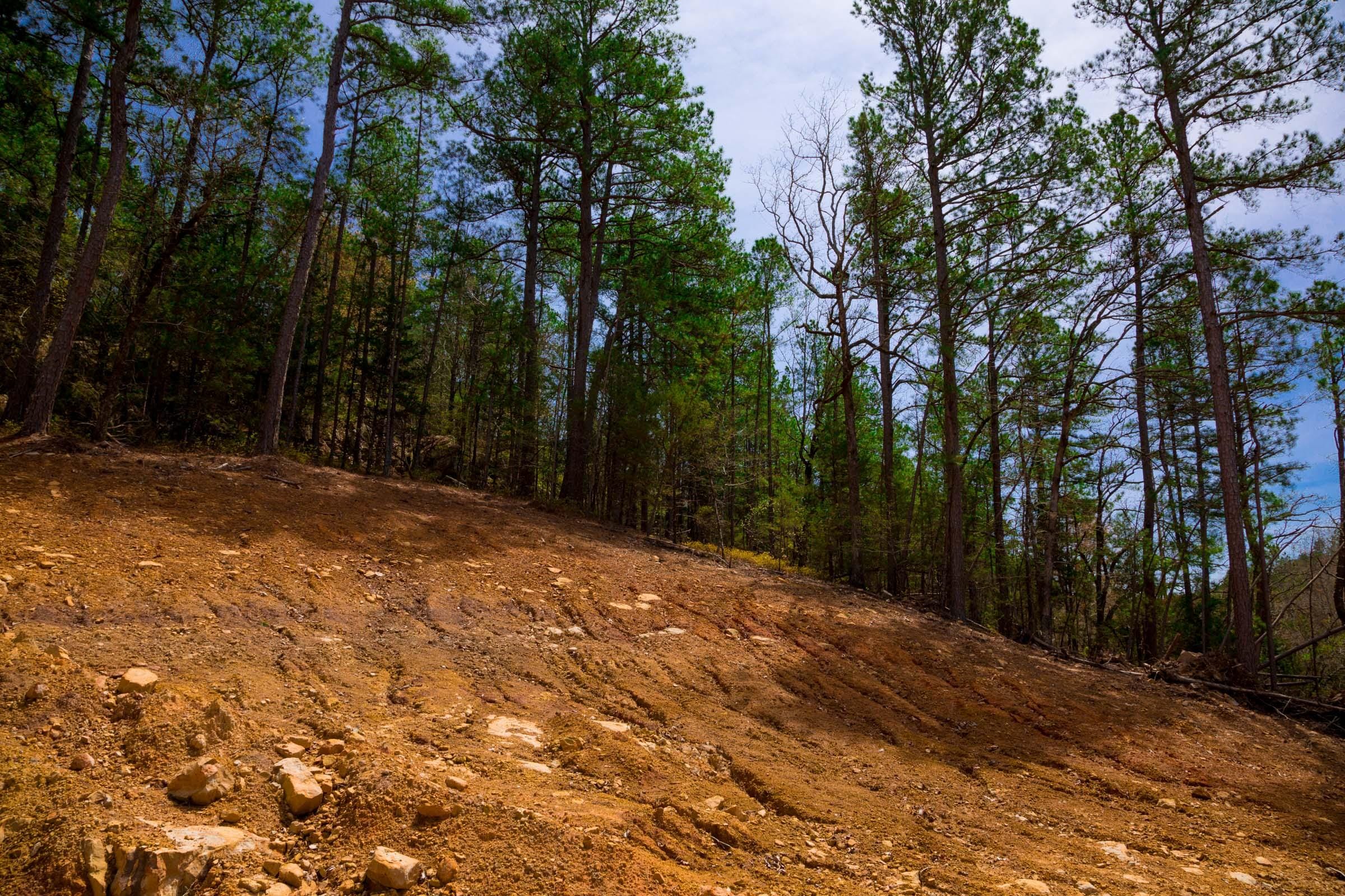 Stone Creek Phase II Tract 210 photo 14