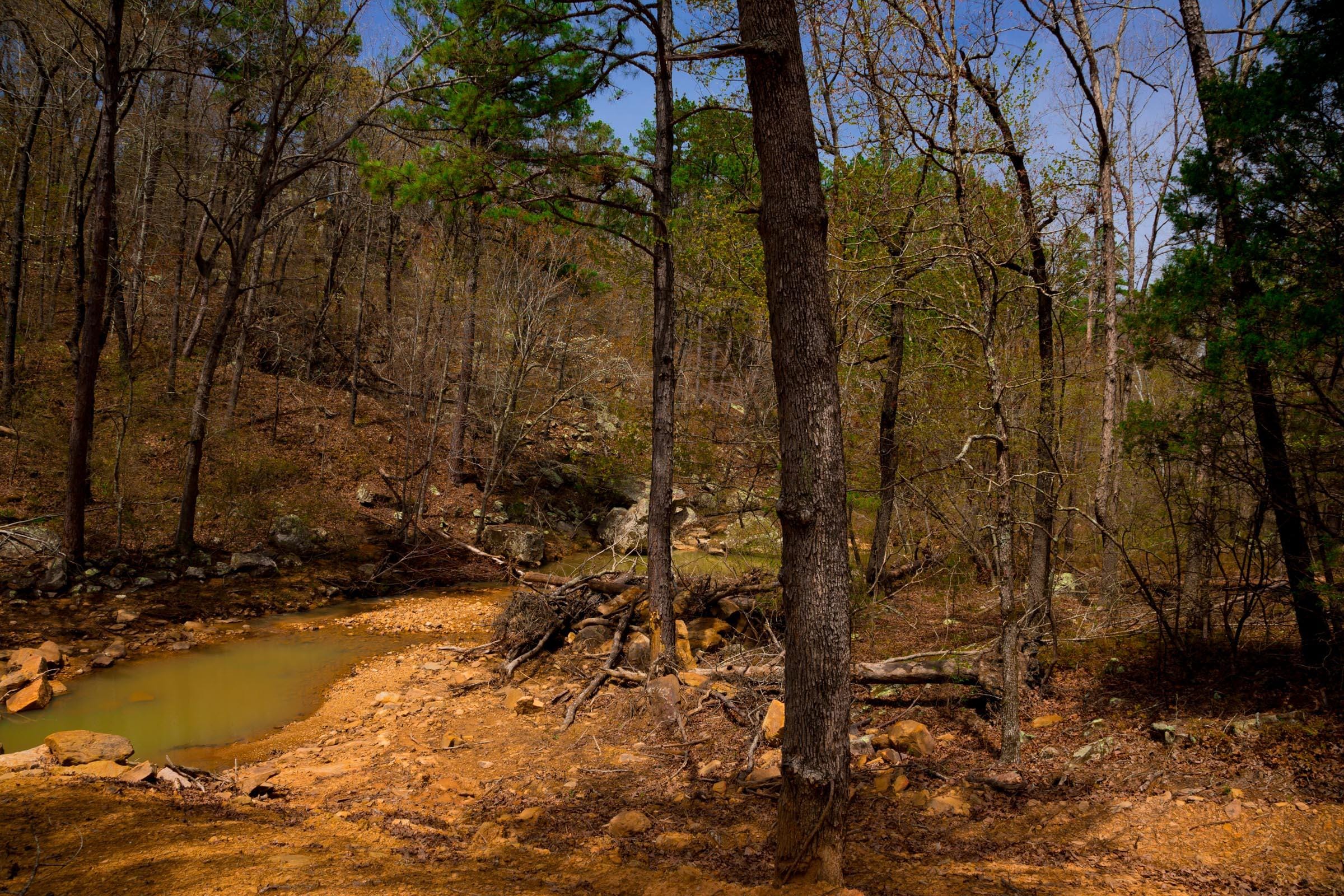 Stone Creek Phase II Tract 210 photo 15