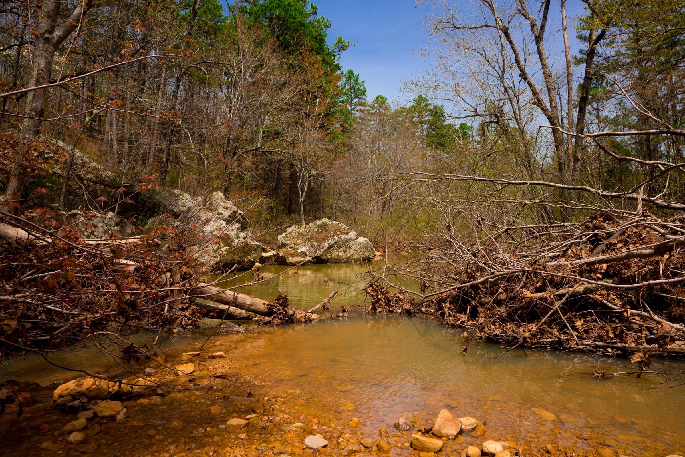 Stone Creek Phase II Tract 210 photo 17