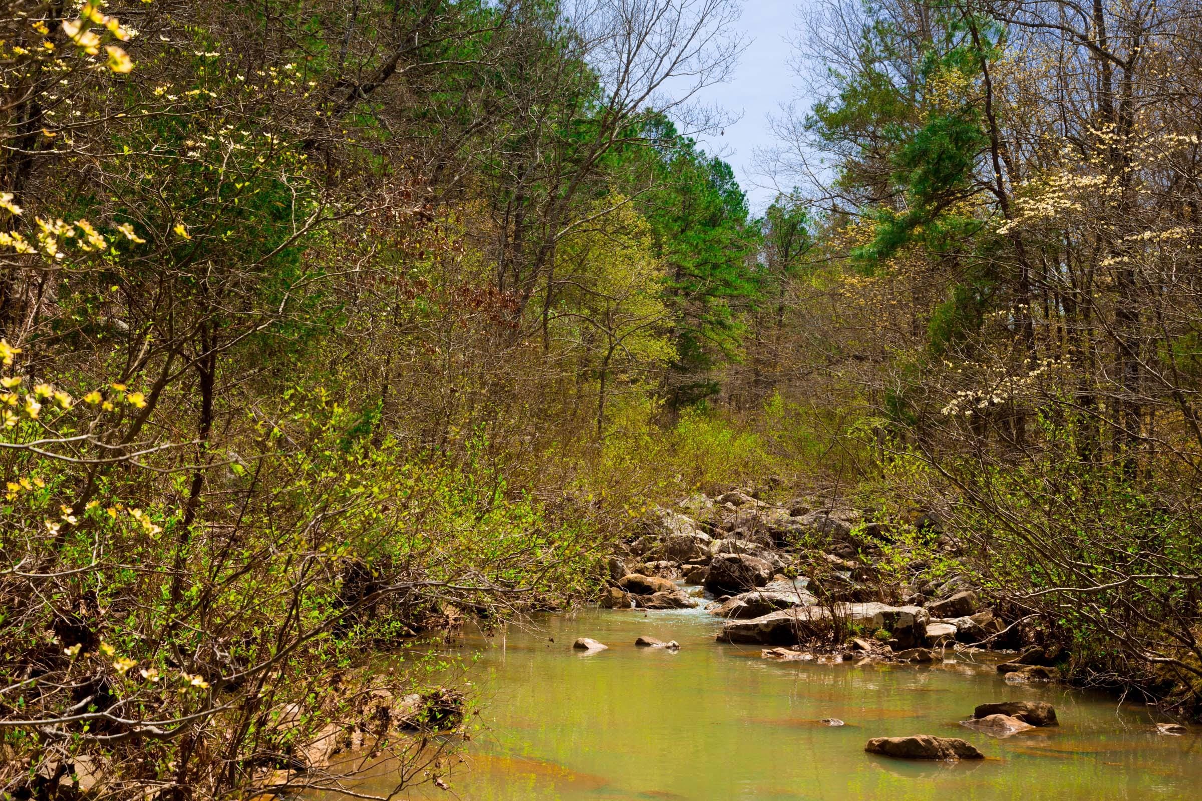Stone Creek Phase II Tract 210 photo 22
