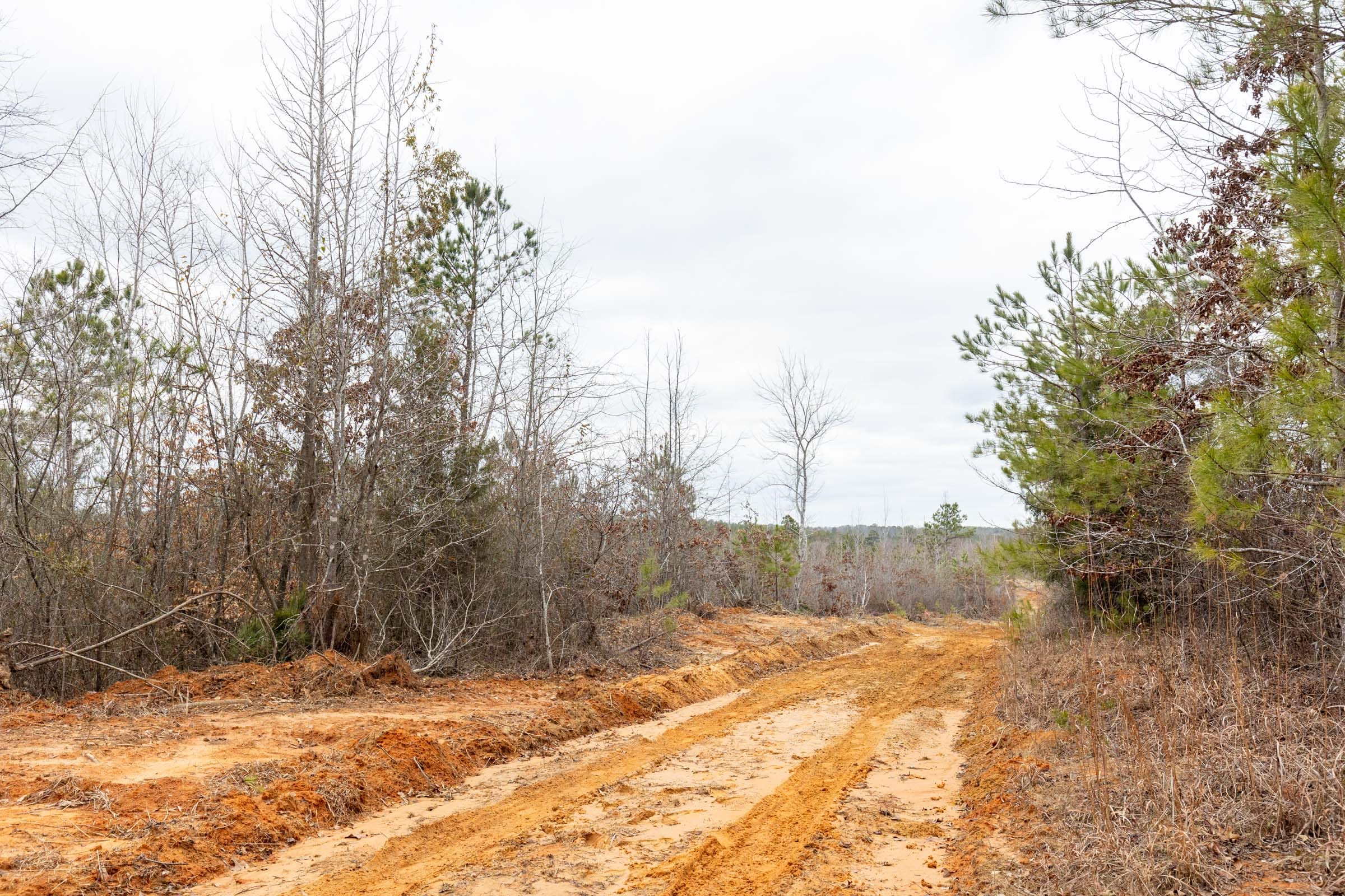 Baker Creek Tract 2 photo 12