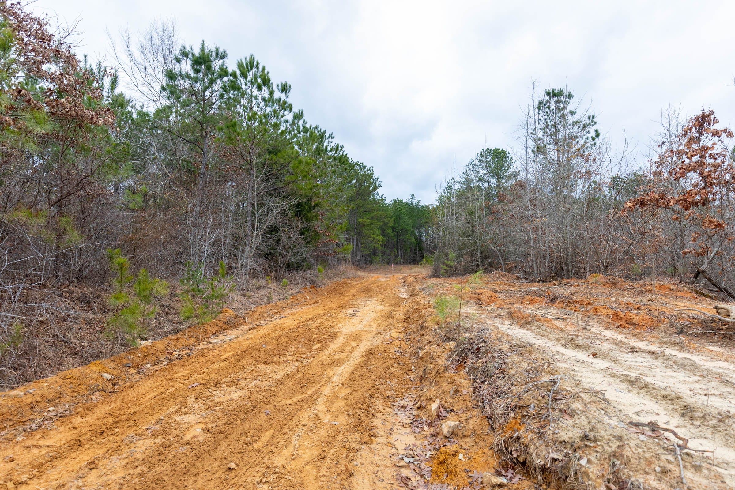 Baker Creek Tract 2 photo 15