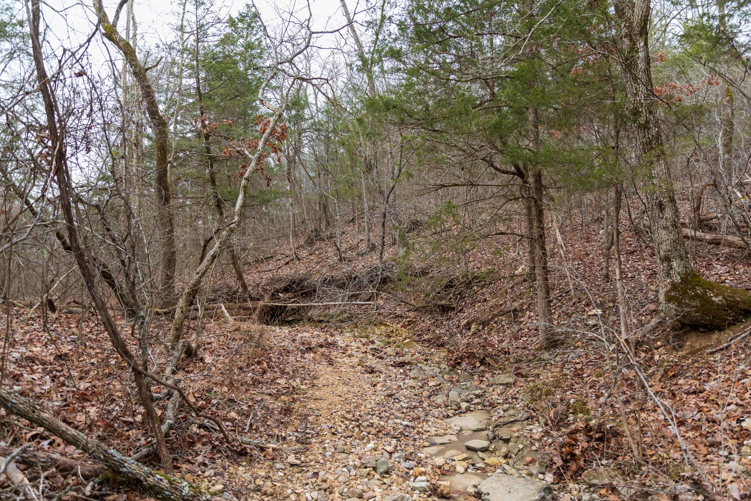 Crossroads Tract 8 photo 2