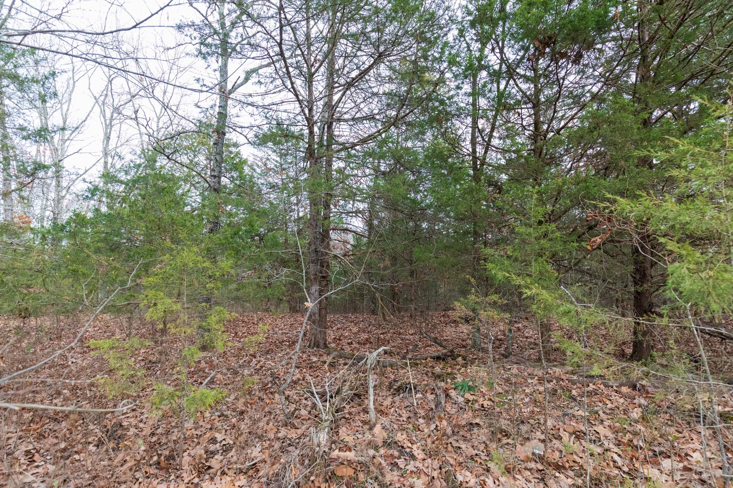 Crossroads Tract 8 photo 4