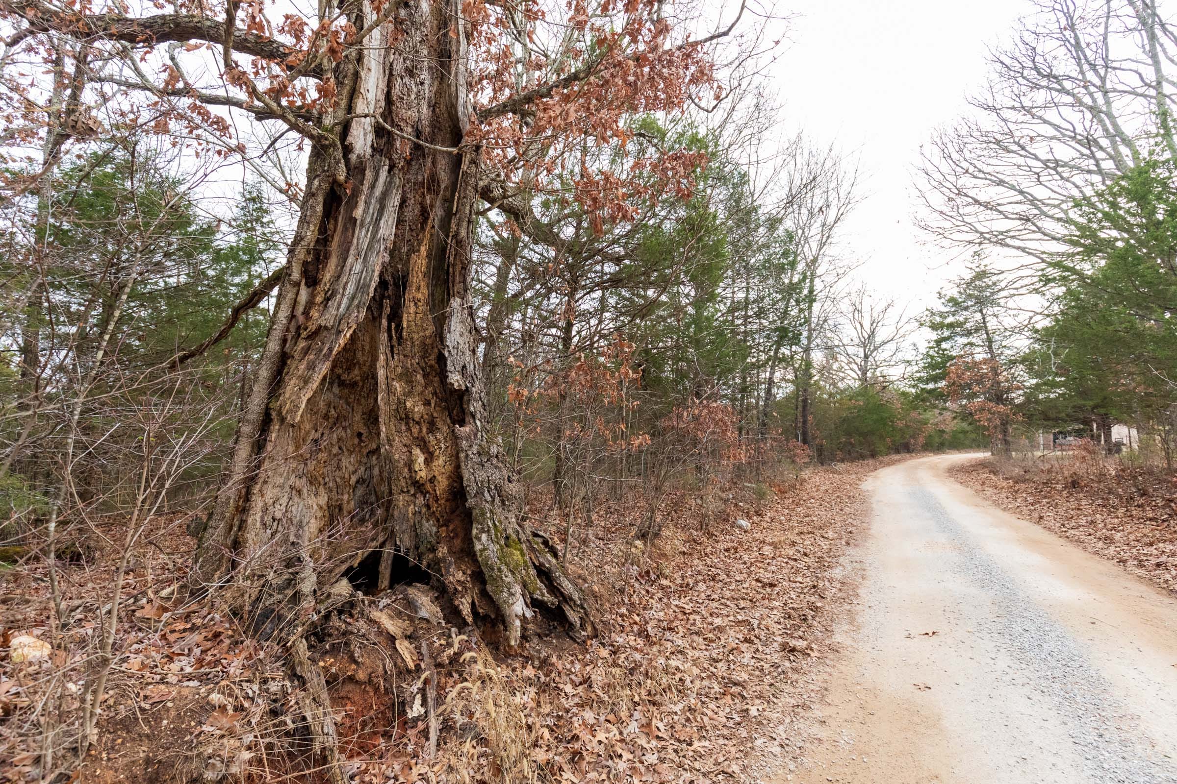 Crossroads Tract 8 photo 5