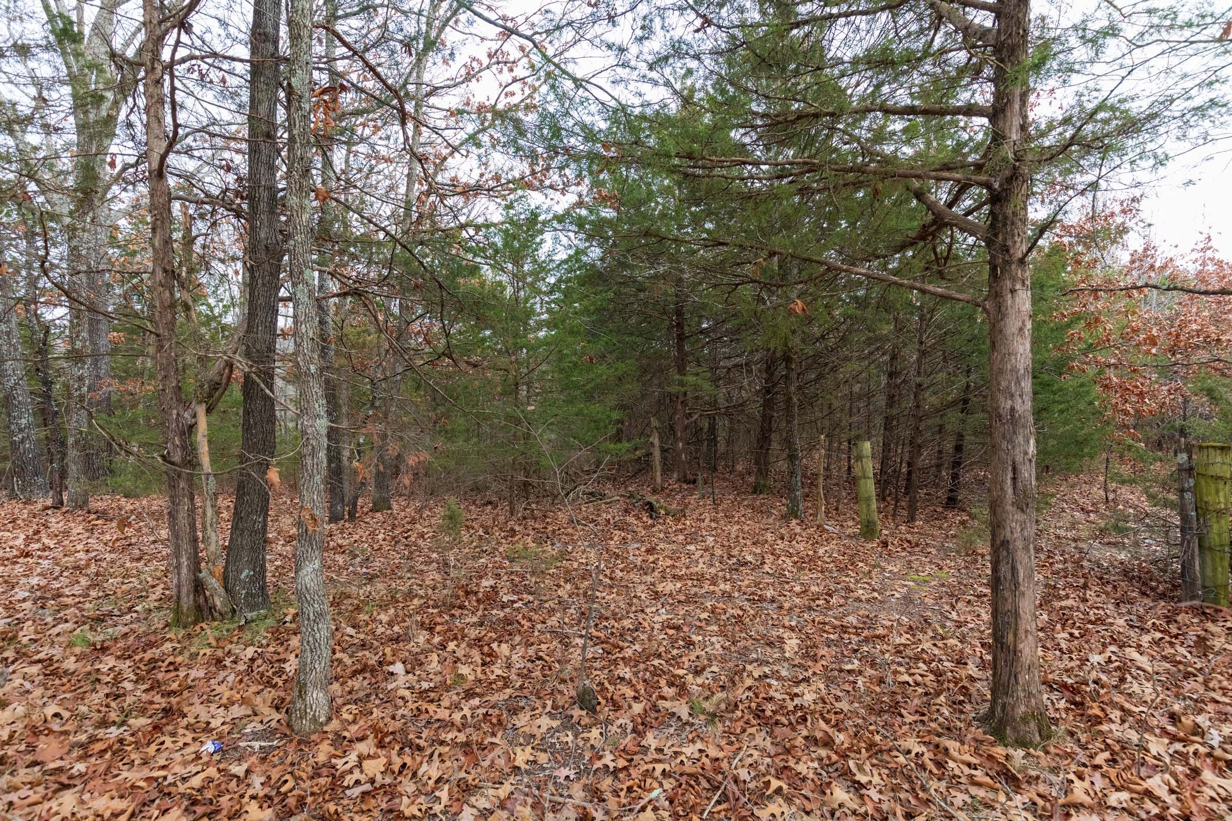 Crossroads Tract 8 photo 6