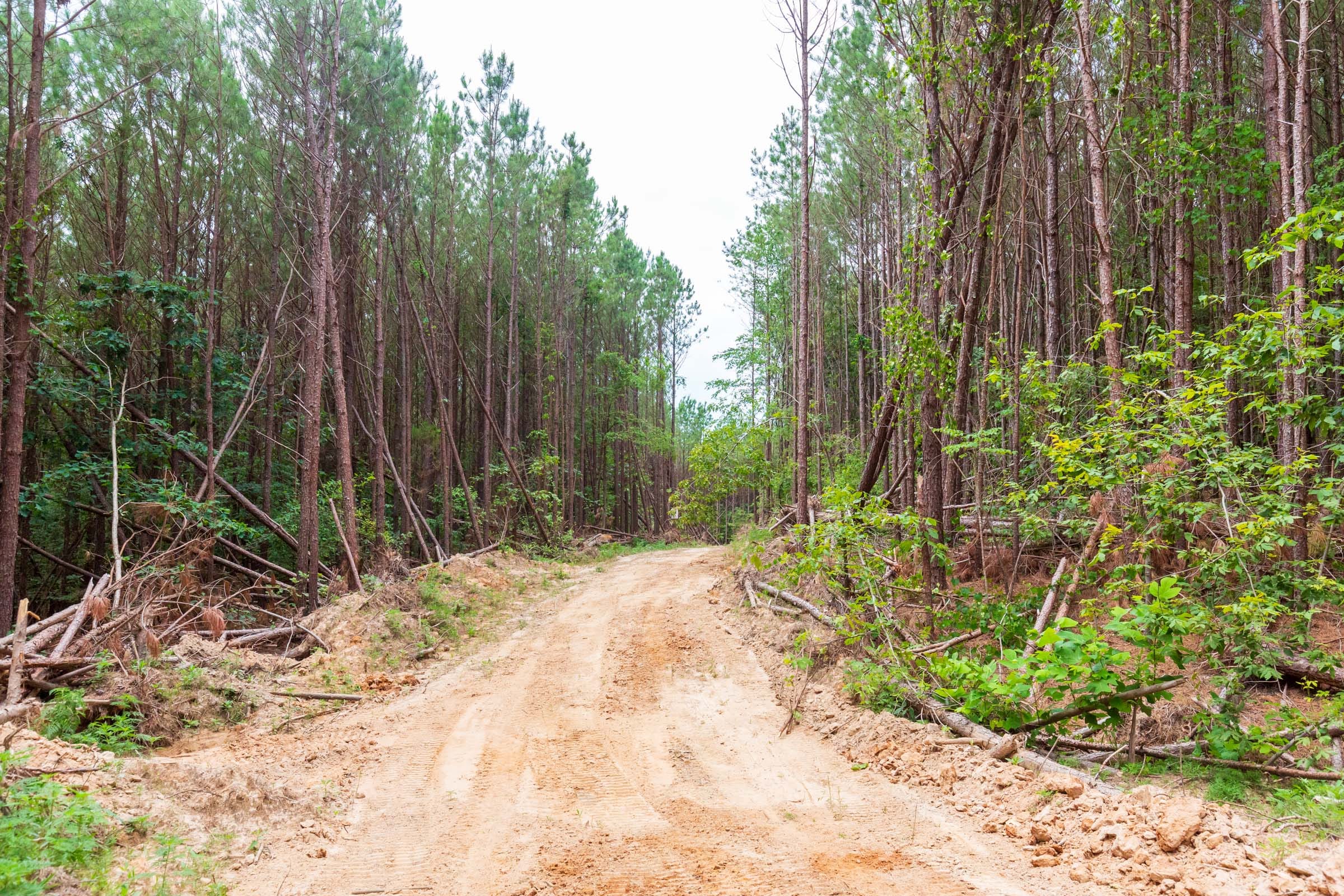 Whiskey Ridge Tract 102 photo 2